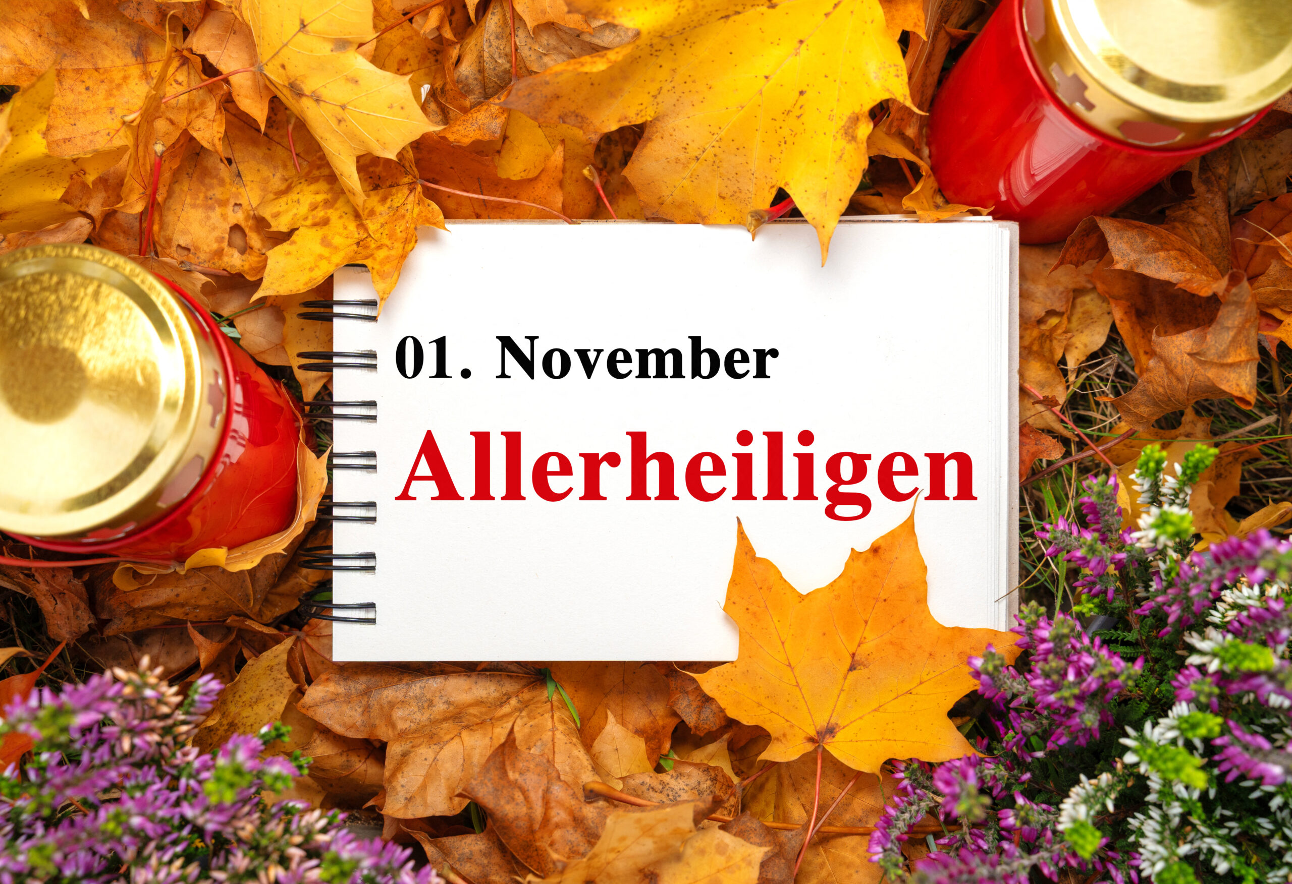 allerheiligen feiertag bild mit rotem grablicht, notizbuch mit datum 01. november und buntem herbstlaub zwischen violetten blüten