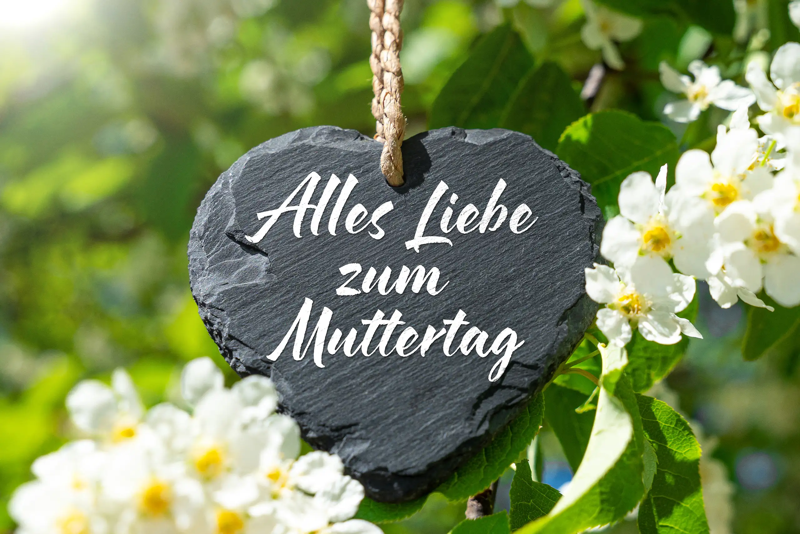 ALLES LIEBE ZUM MUTTERTAG BILDER BILDER alles liebe zum muttertag muttertagsgruß auf schwarzem herzschild mit weißen blüten und grünen zweigen im sonnigen frühlingsgarten.