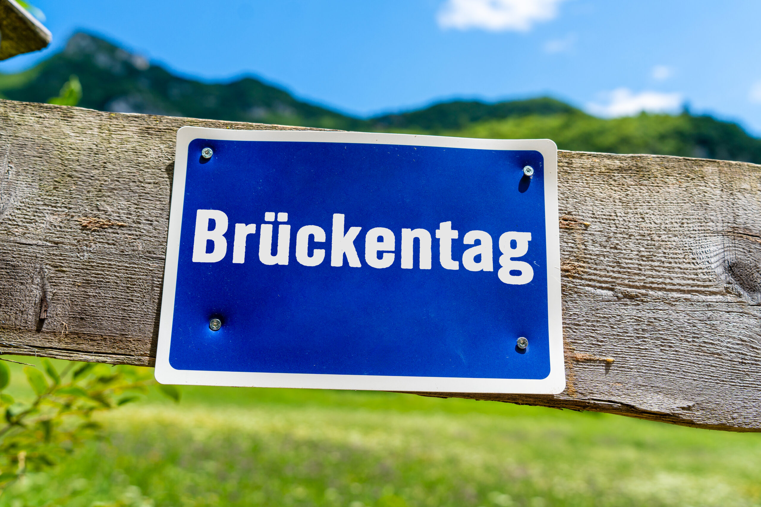 brueckentag 24 scaled