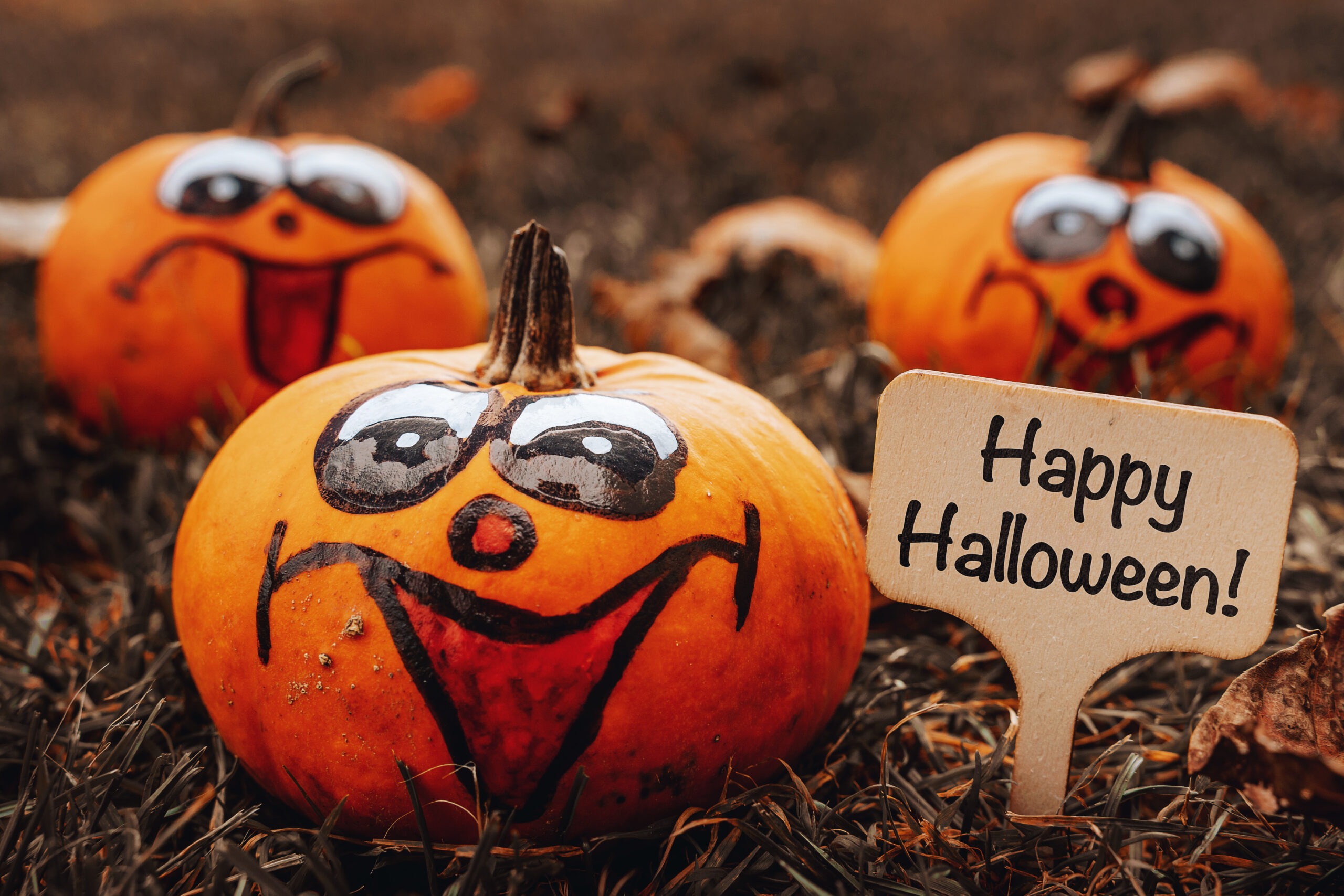HALLOWEEN BILDER bild zu halloween lustig 2 scaled