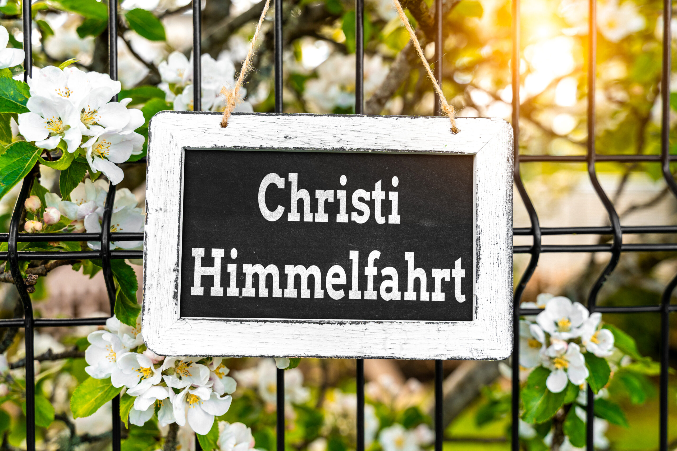 CHRISTI HIMMELFAHRT BILDER christi himmelfahrt 1 scaled