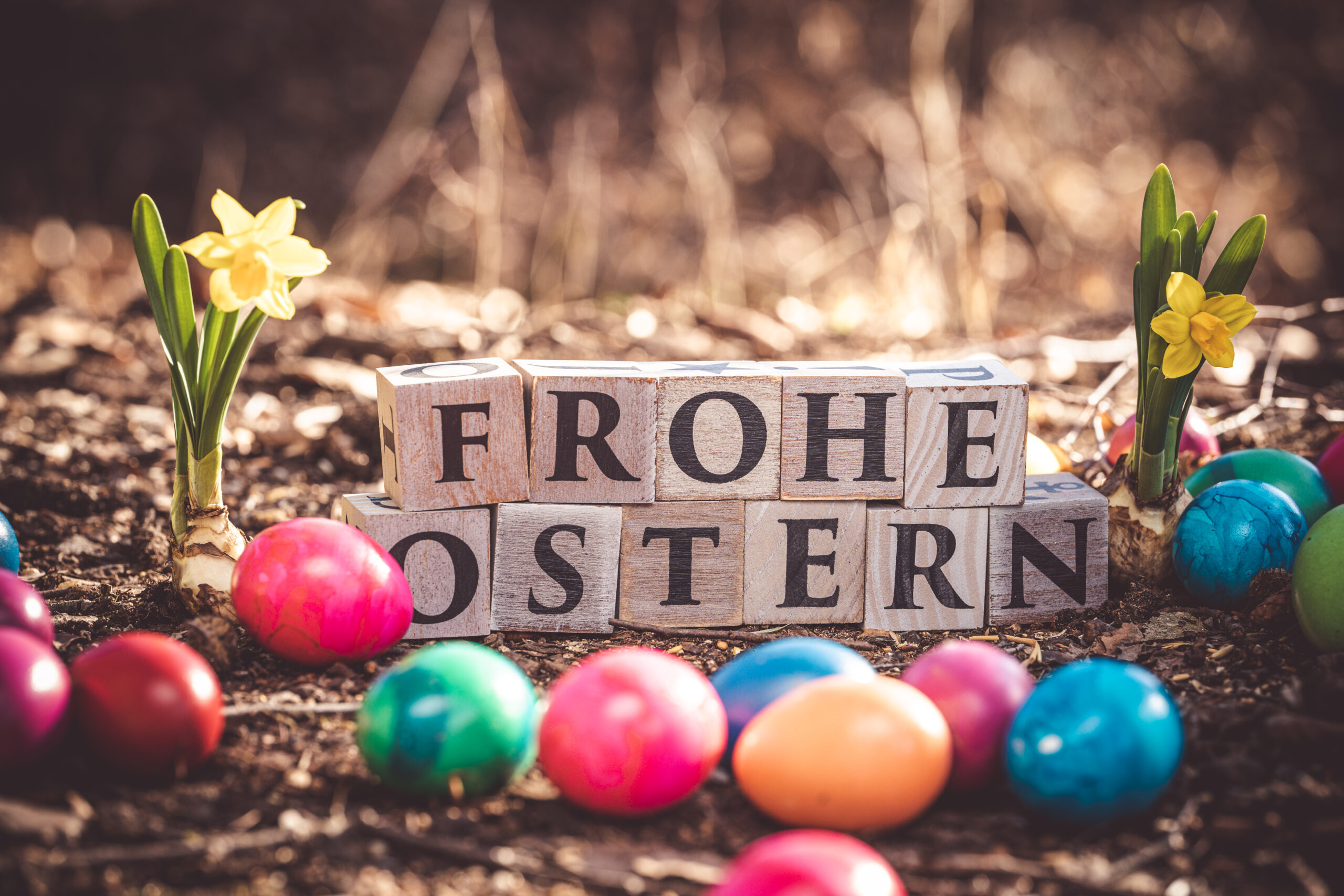 frohe ostern bild scaled