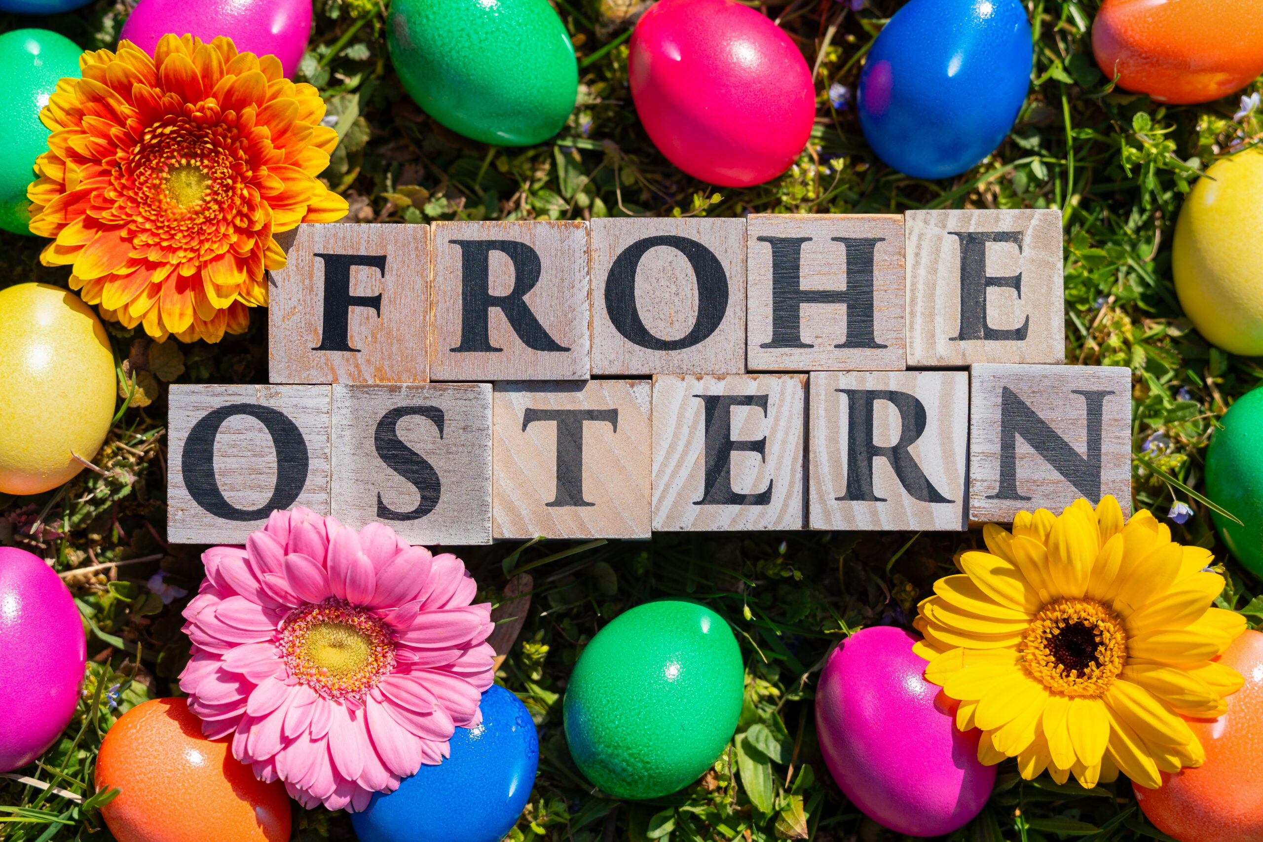 fröhlicher frohe ostern holzschriftzug umrahmt von bunten ostereiern und blumen im gras