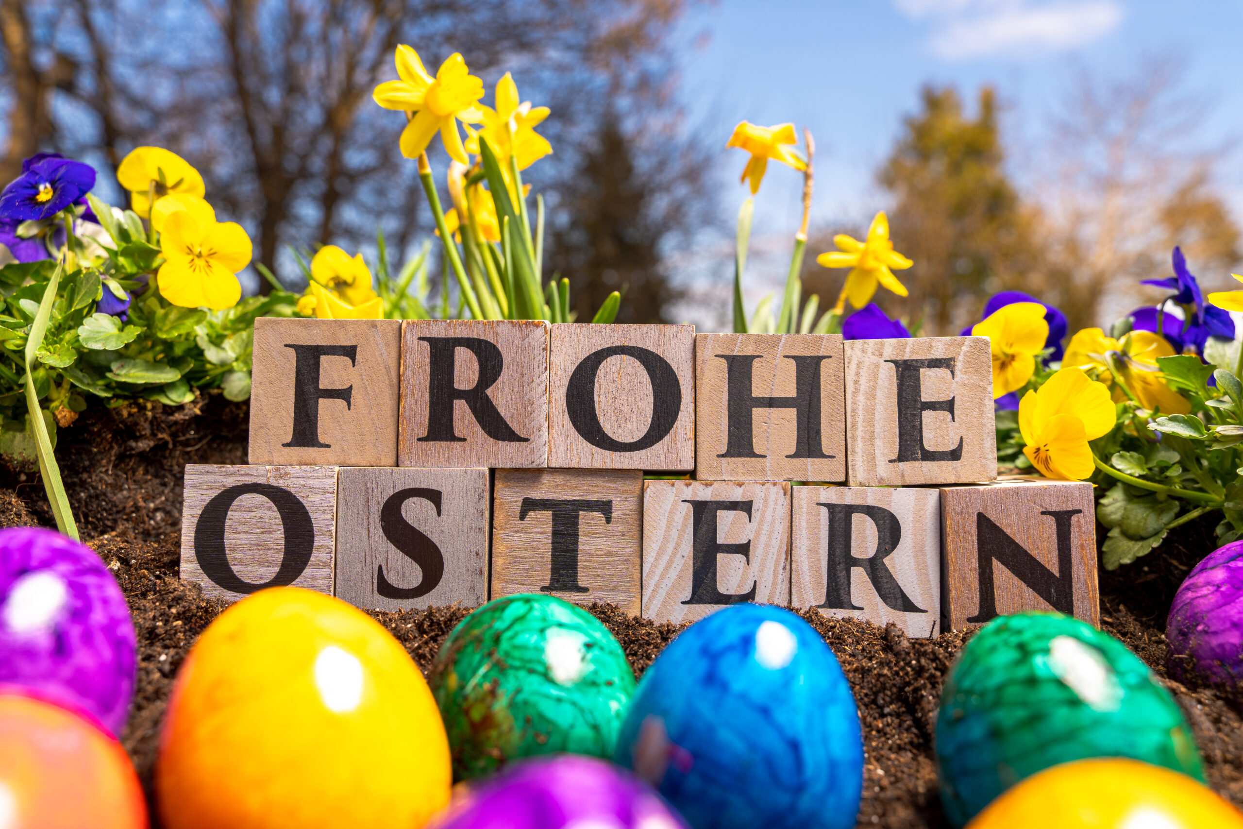 frohe ostern gruss mit bunten eiern und fruehlingsblumen scaled bilder
