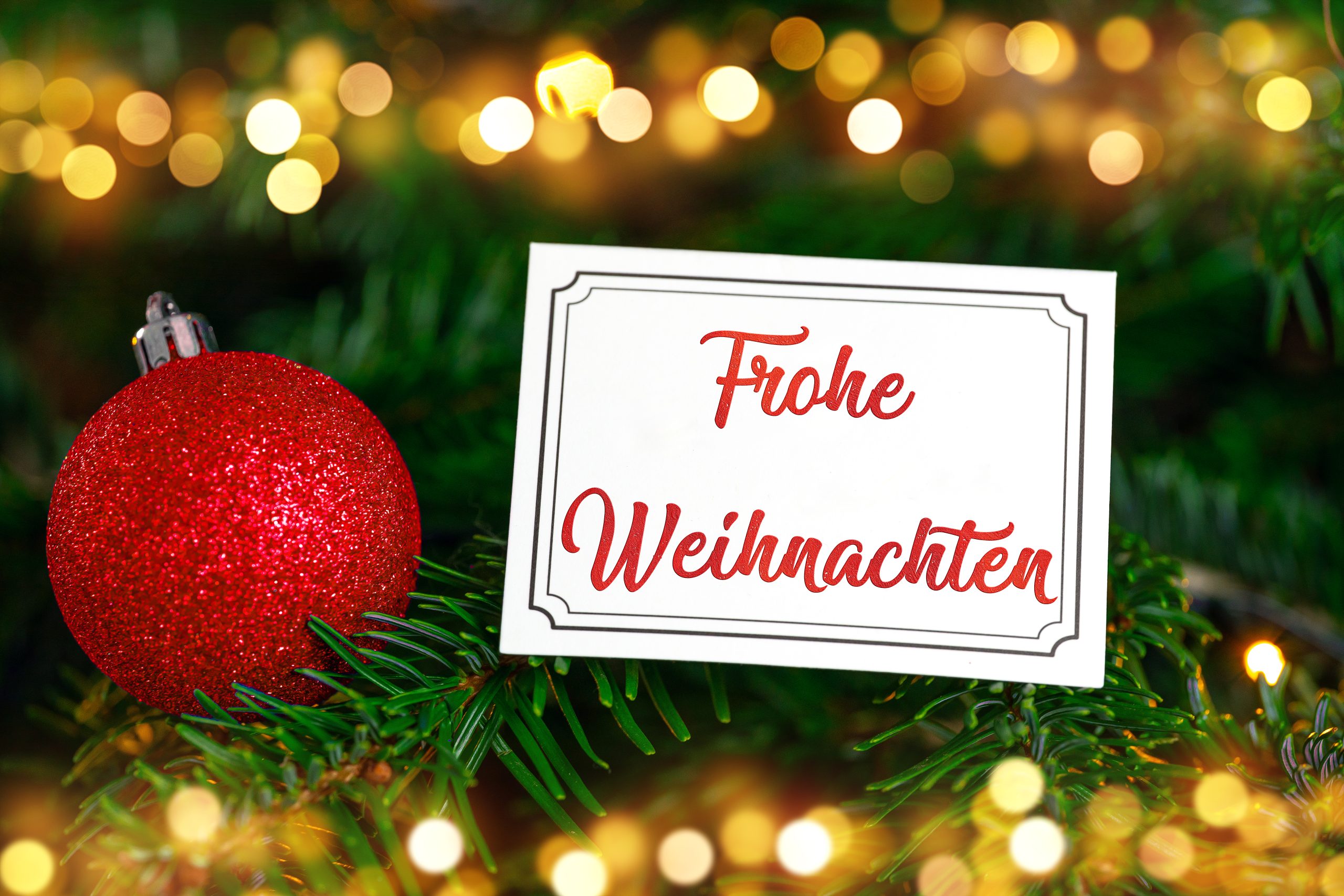 frohe weihnachten grüße