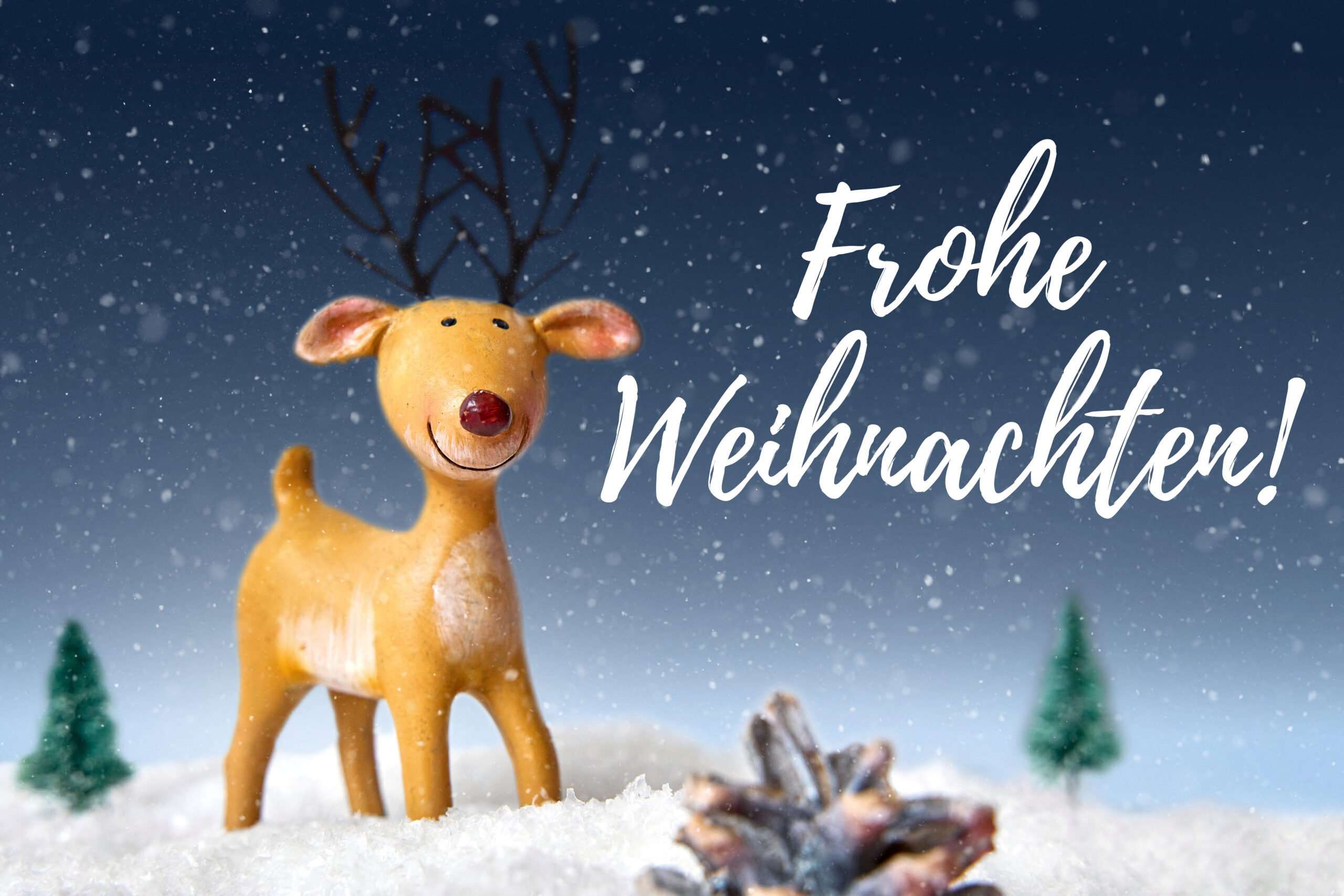 WEIHNACHTEN BILDER FROHE WEIHNACHTEN – LUSTIGES WEIHNACHTSBILD MIT RENTIER IM SCHNEE frohe weihnachten – lustiges weihnachtsbild mit rentier im schnee
