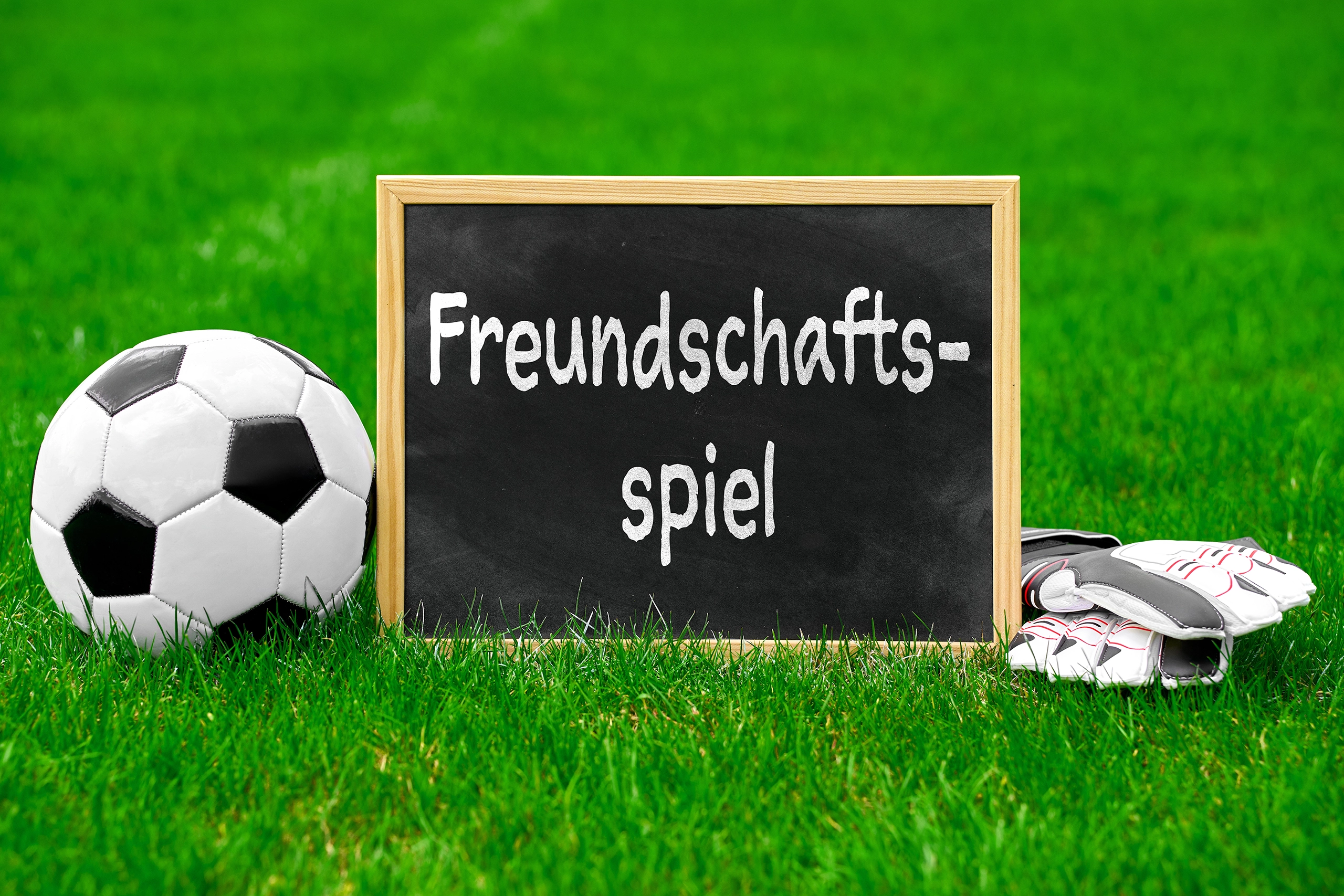 tafel mit der aufschrift freundschaftsspiel neben fußball und torwarthandschuhen auf grünem rasen.