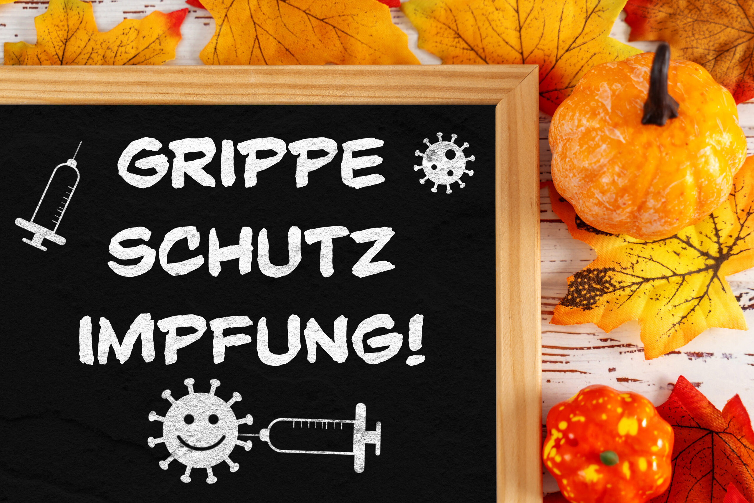 GRIPPESCHUTZIMPFUNG 5 SCALED BILDER grippeschutzimpfung 5 scaled bilder