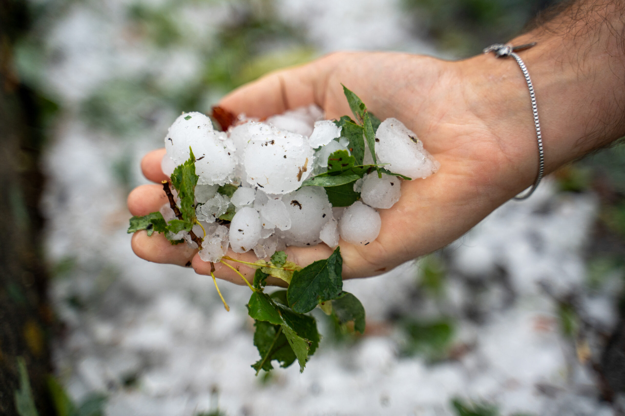 BIHLMAYER-MEDIA hagel 2 scaled