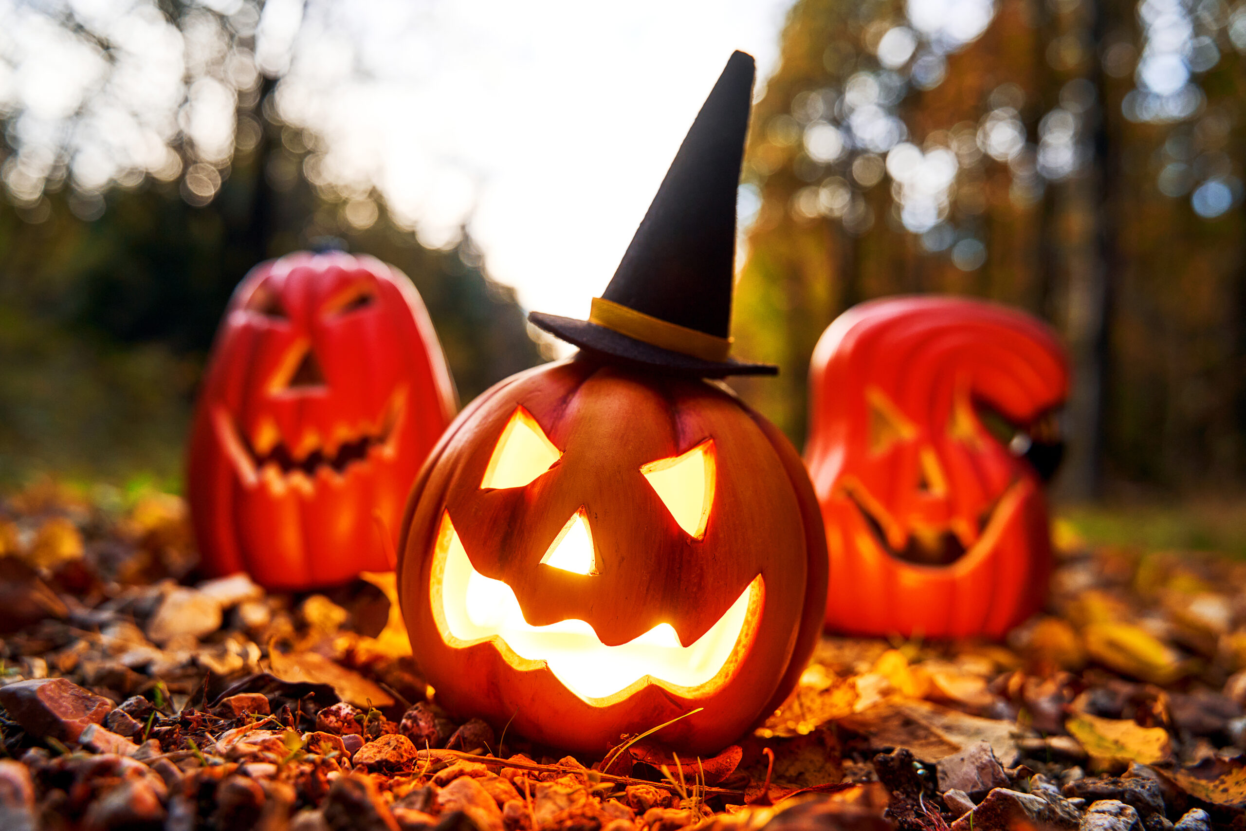 HALLOWEEN BILDER halloween hintergrund 3 scaled