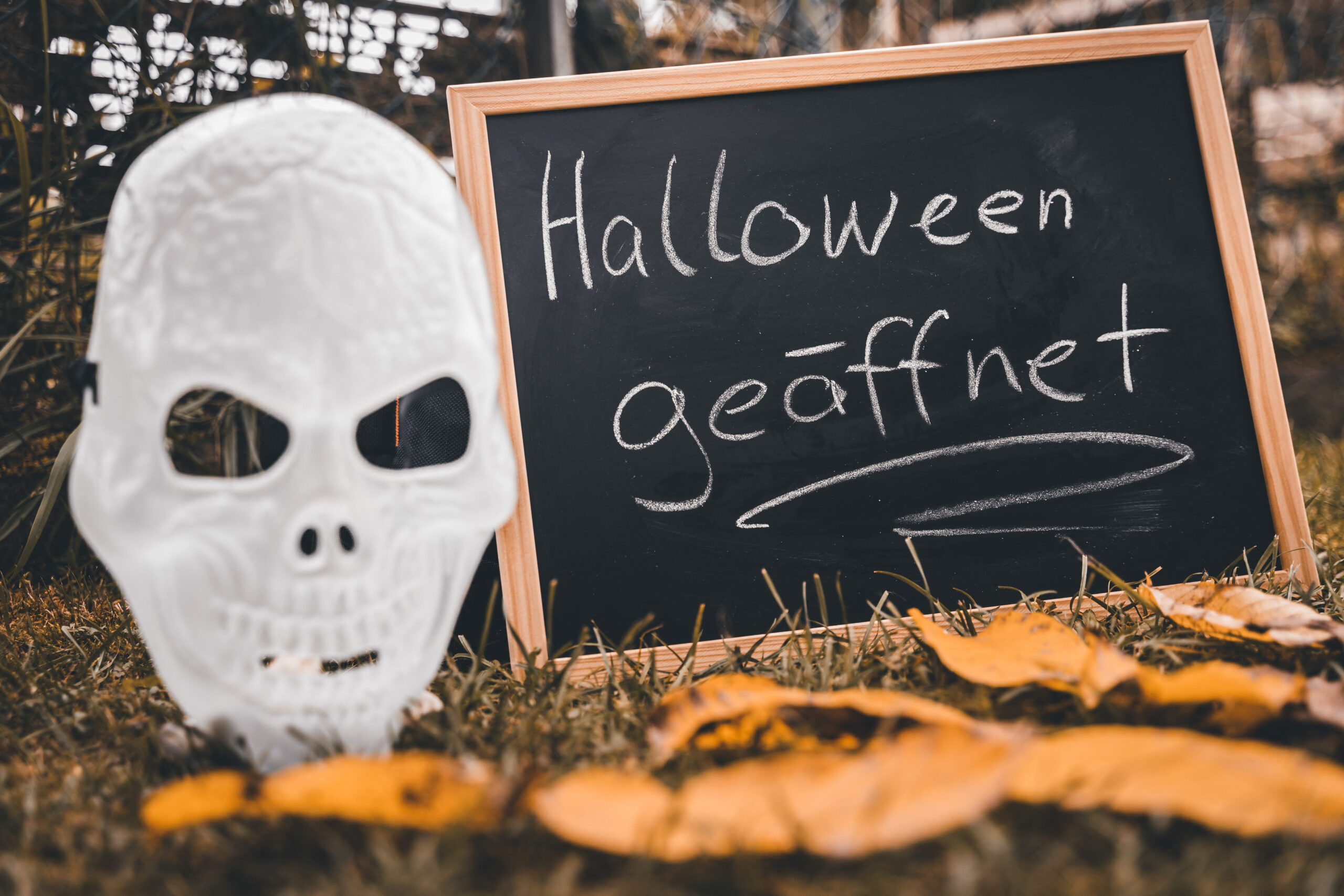 HALLOWEEN BILDER halloween geoeffnet 3 scaled