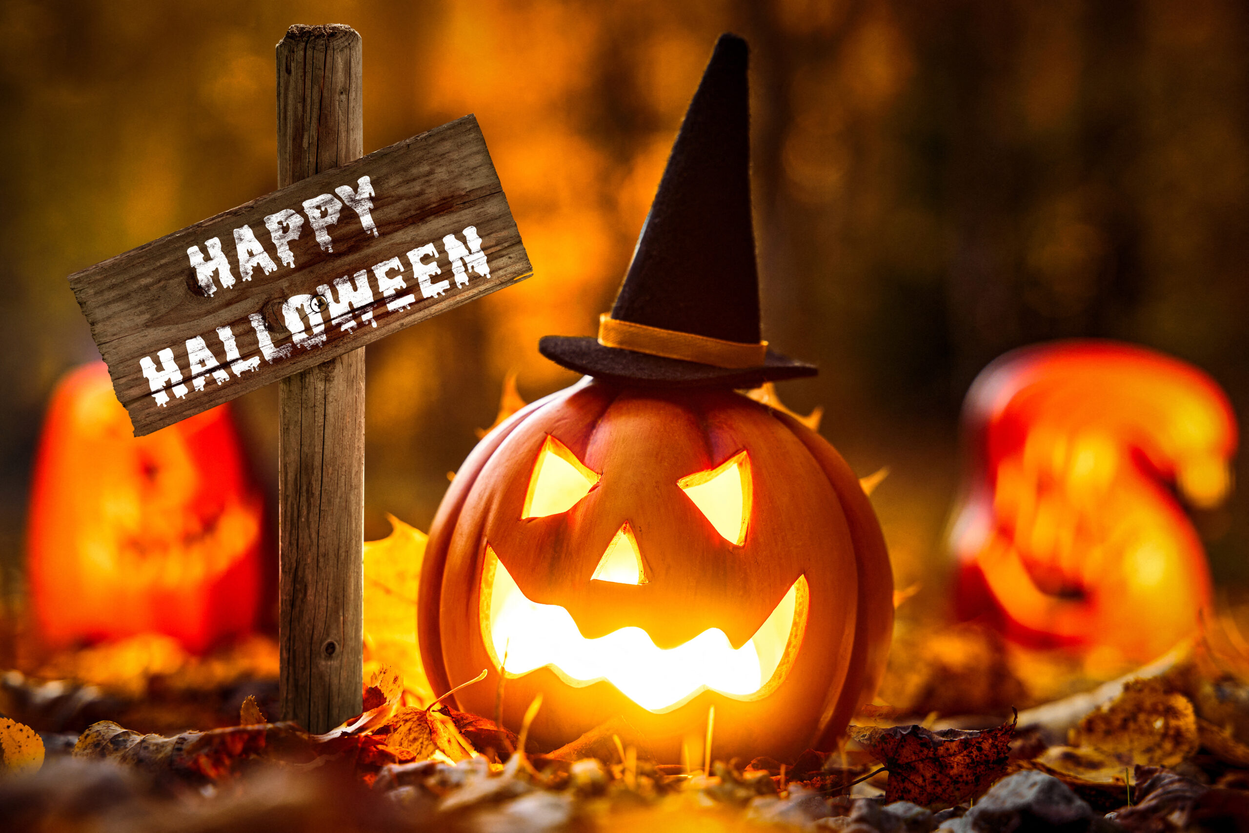 HALLOWEEN BILDER happy halloween bild lustig 1 scaled