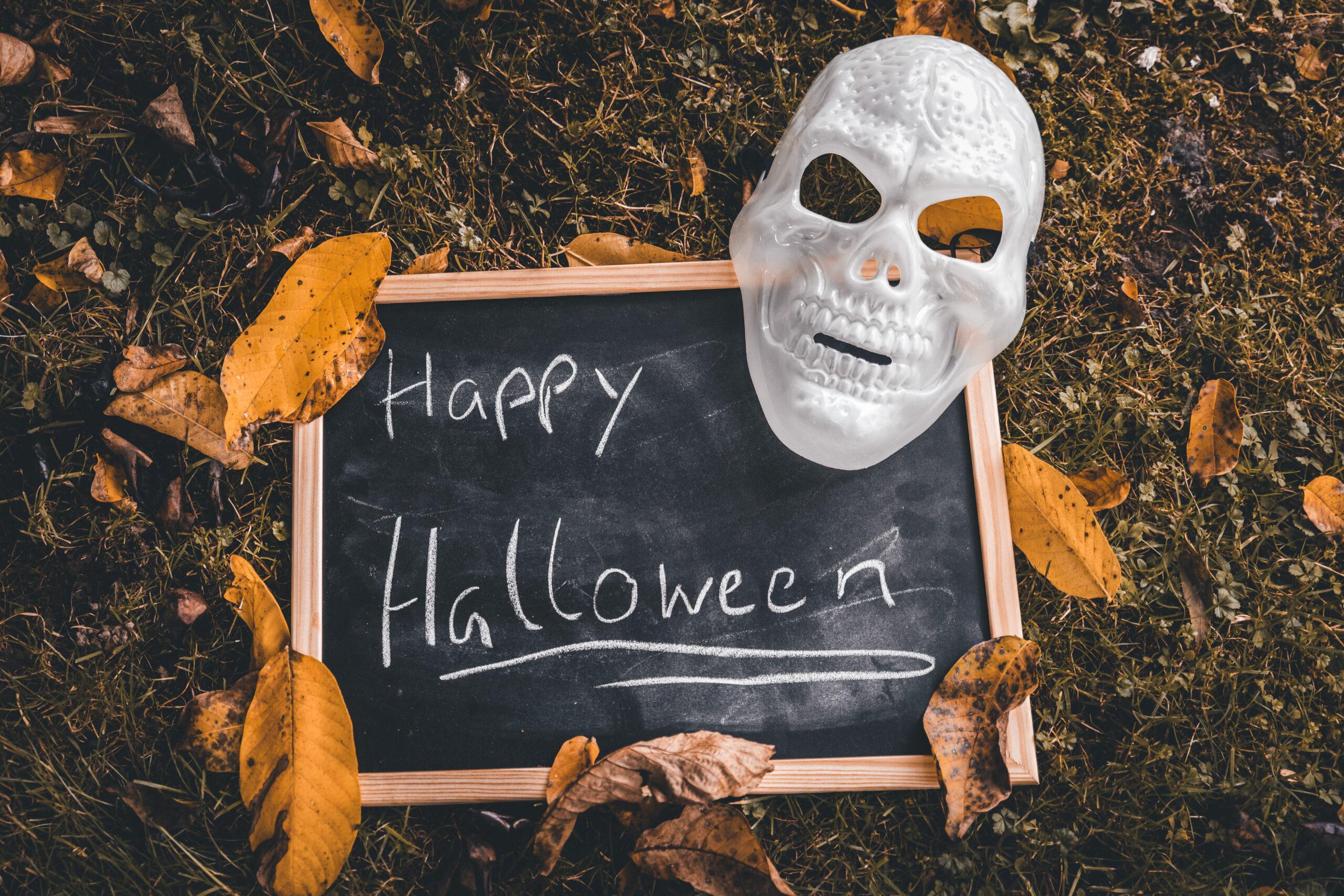 HALLOWEEN BILDER happy halloween gruselig scaled