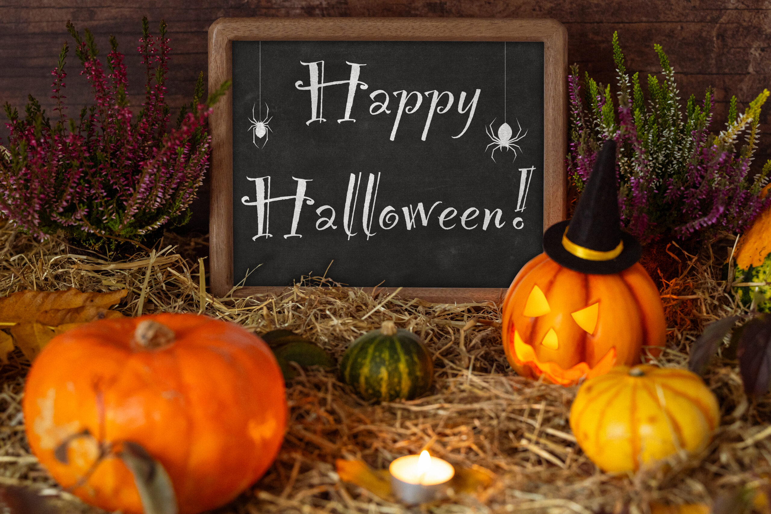 HALLOWEEN BILDER happy halloween whatsapp business scaled