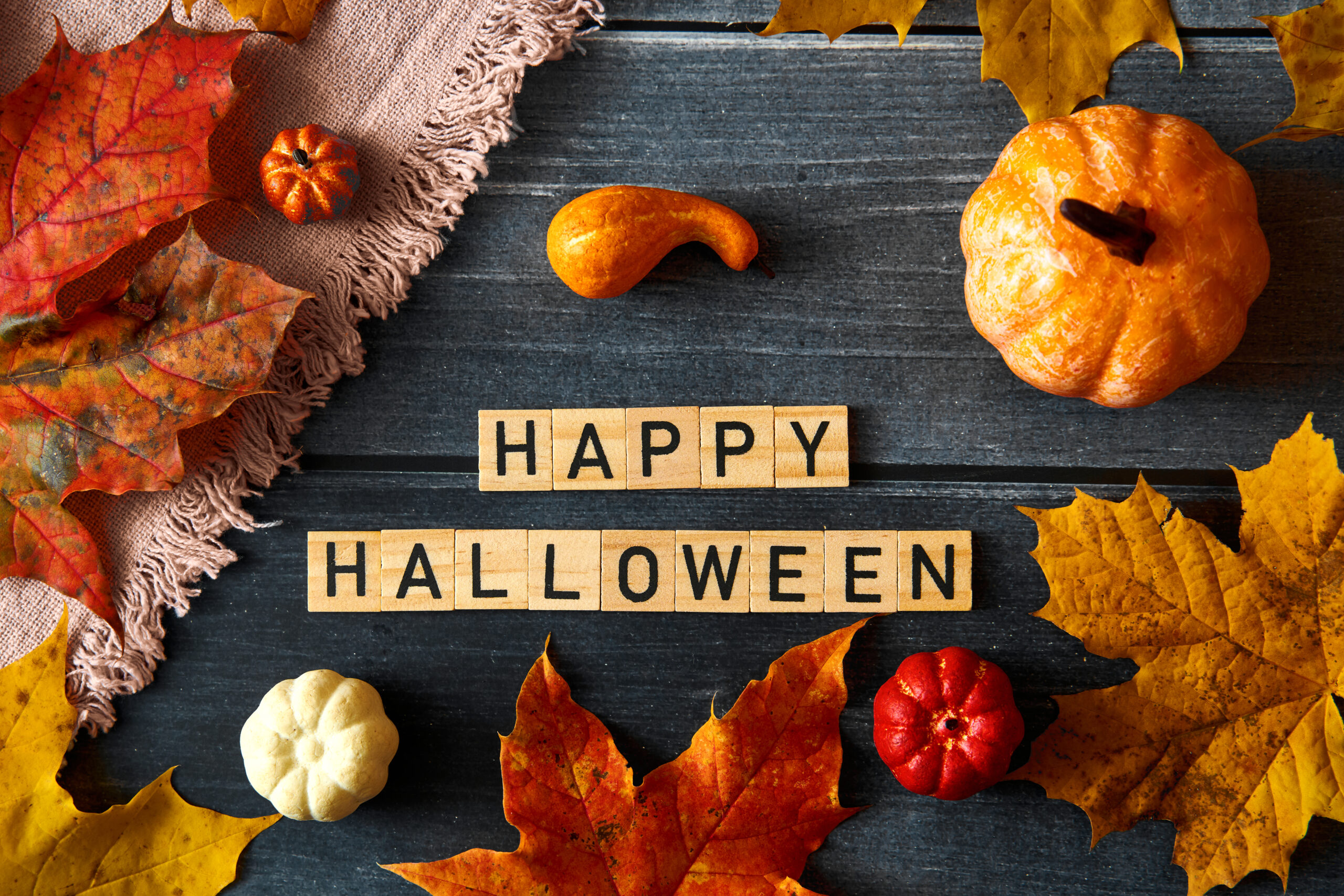 HALLOWEEN BILDER happy halloween scaled