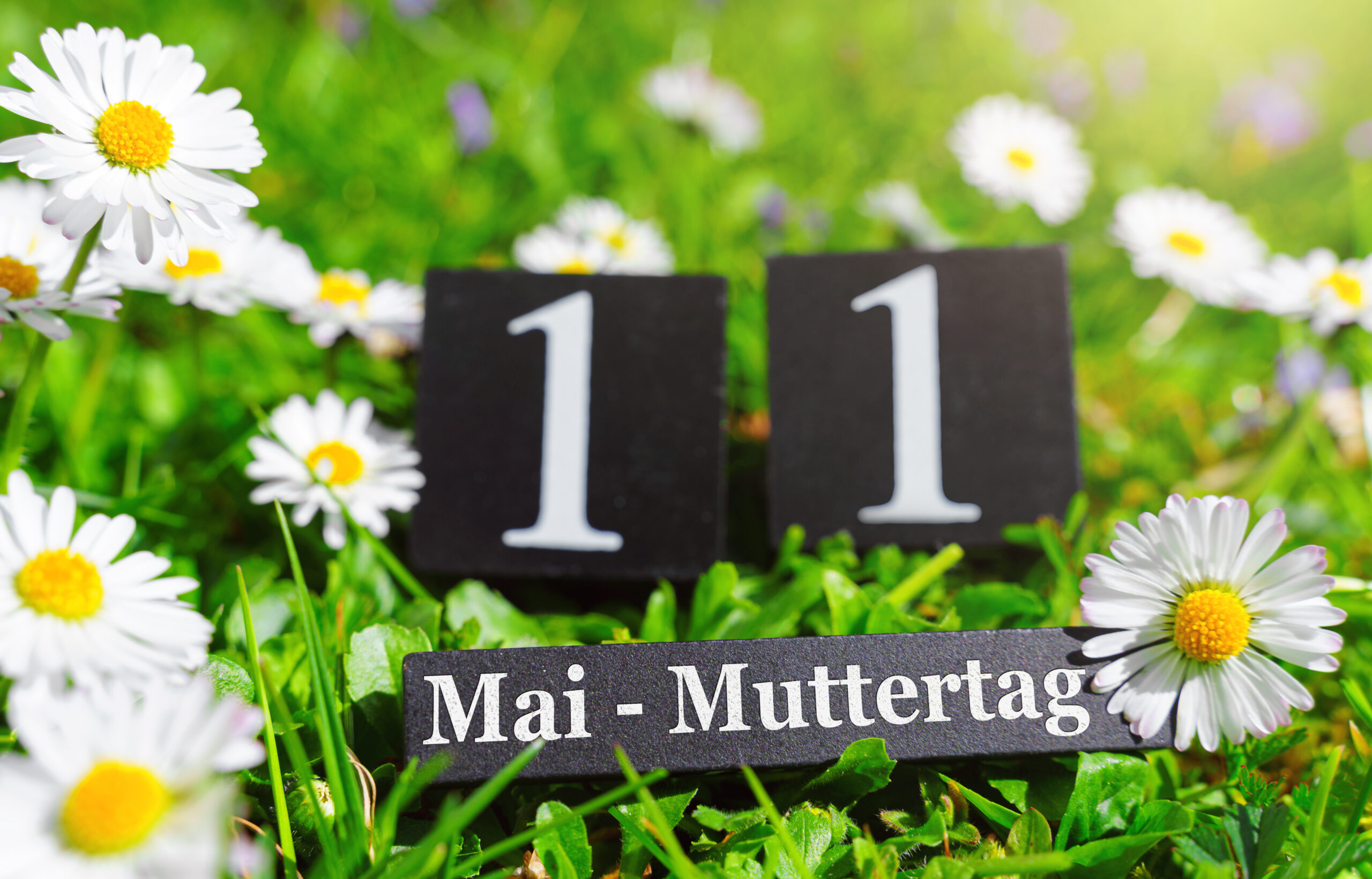 MUTTERTAG BILDER muttertag 2025 1 scaled