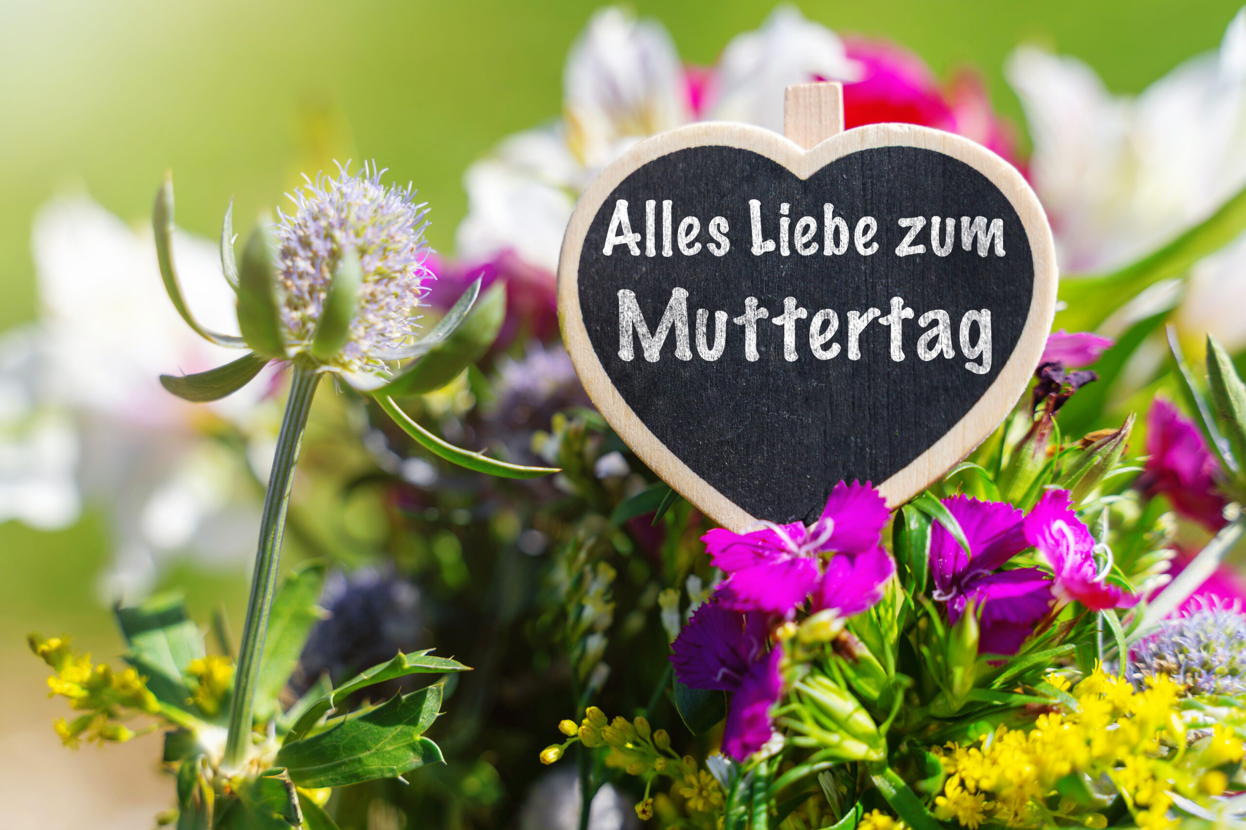 MUTTERTAG BILDER muttertag bilder 1 scaled