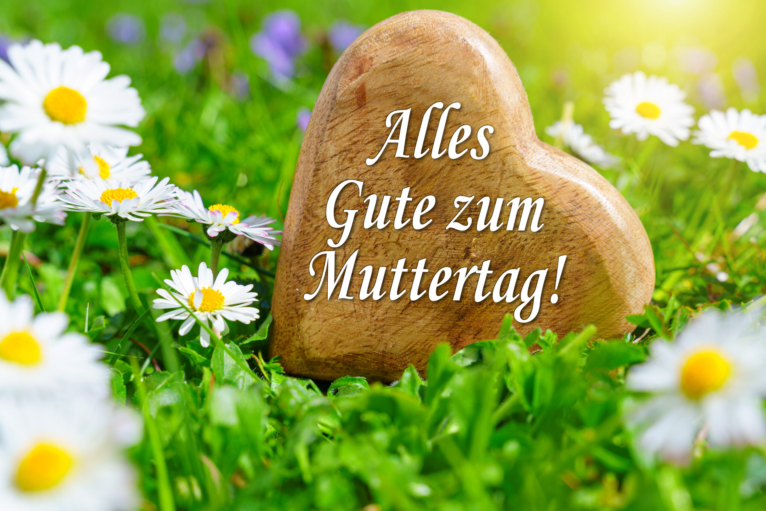 muttertag bilder alles gute 1 scaled