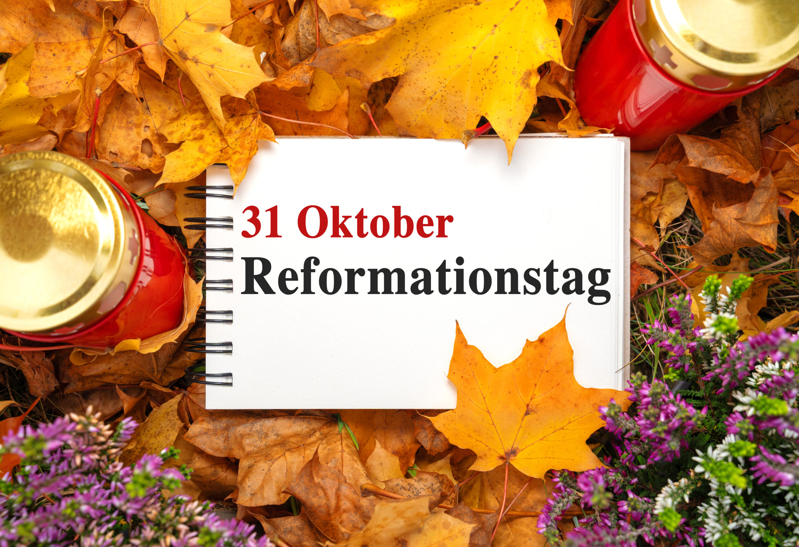 reformationstag bild mit kalenderdatum 31. oktober, rotem grablicht, buntem herbstlaub und lila heideblüten.