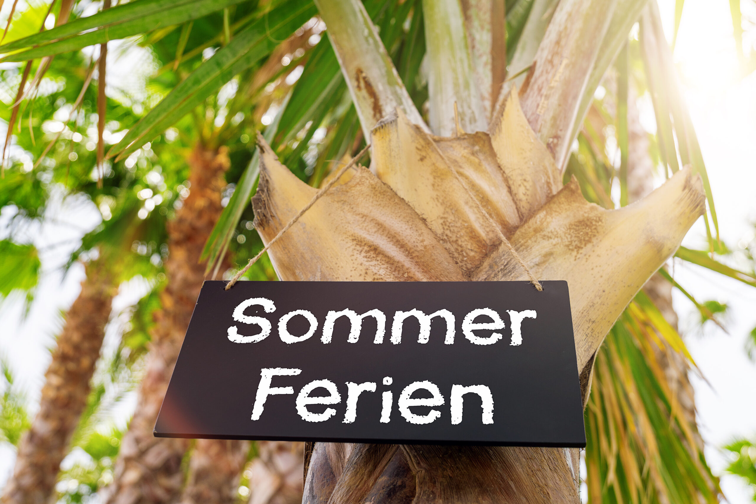 FERIEN BILDER sommerferien bilder 3 scaled