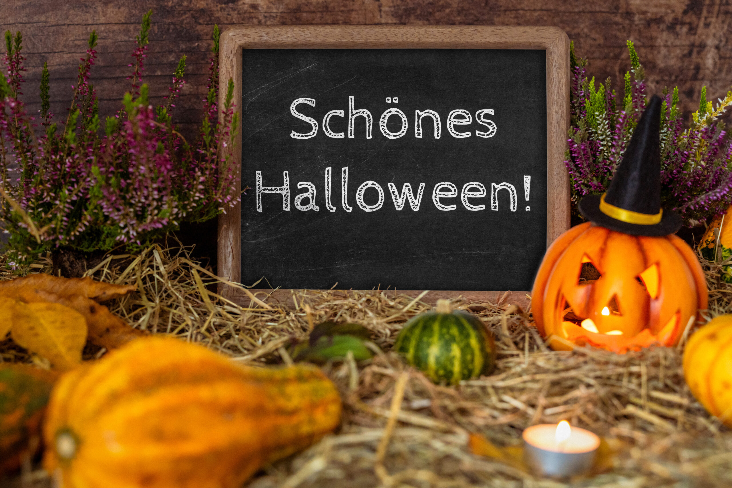 HALLOWEEN BILDER schoenes halloween 1 scaled