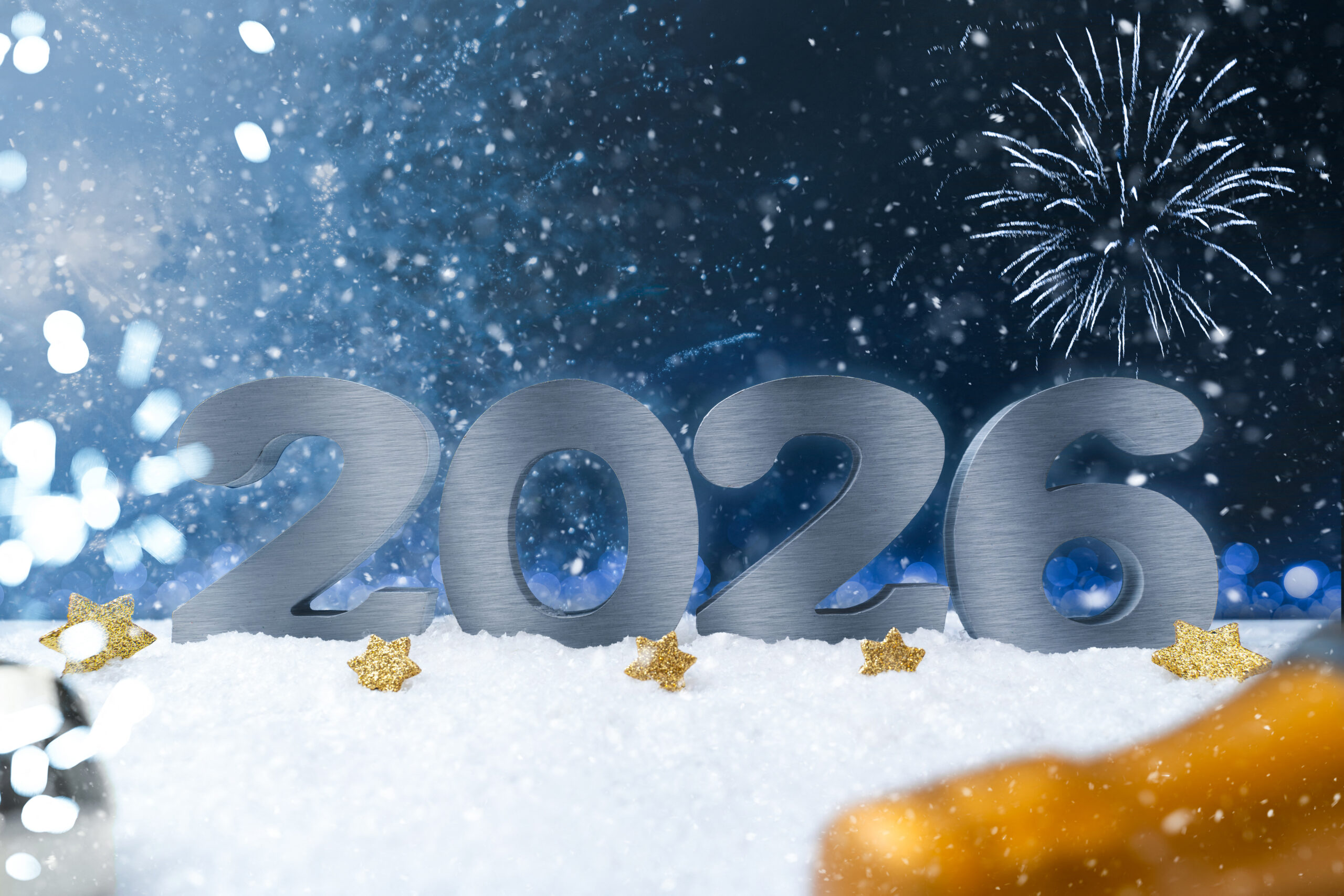 NEUJAHR 2026 BILDER silvesternacht 2026 1 scaled