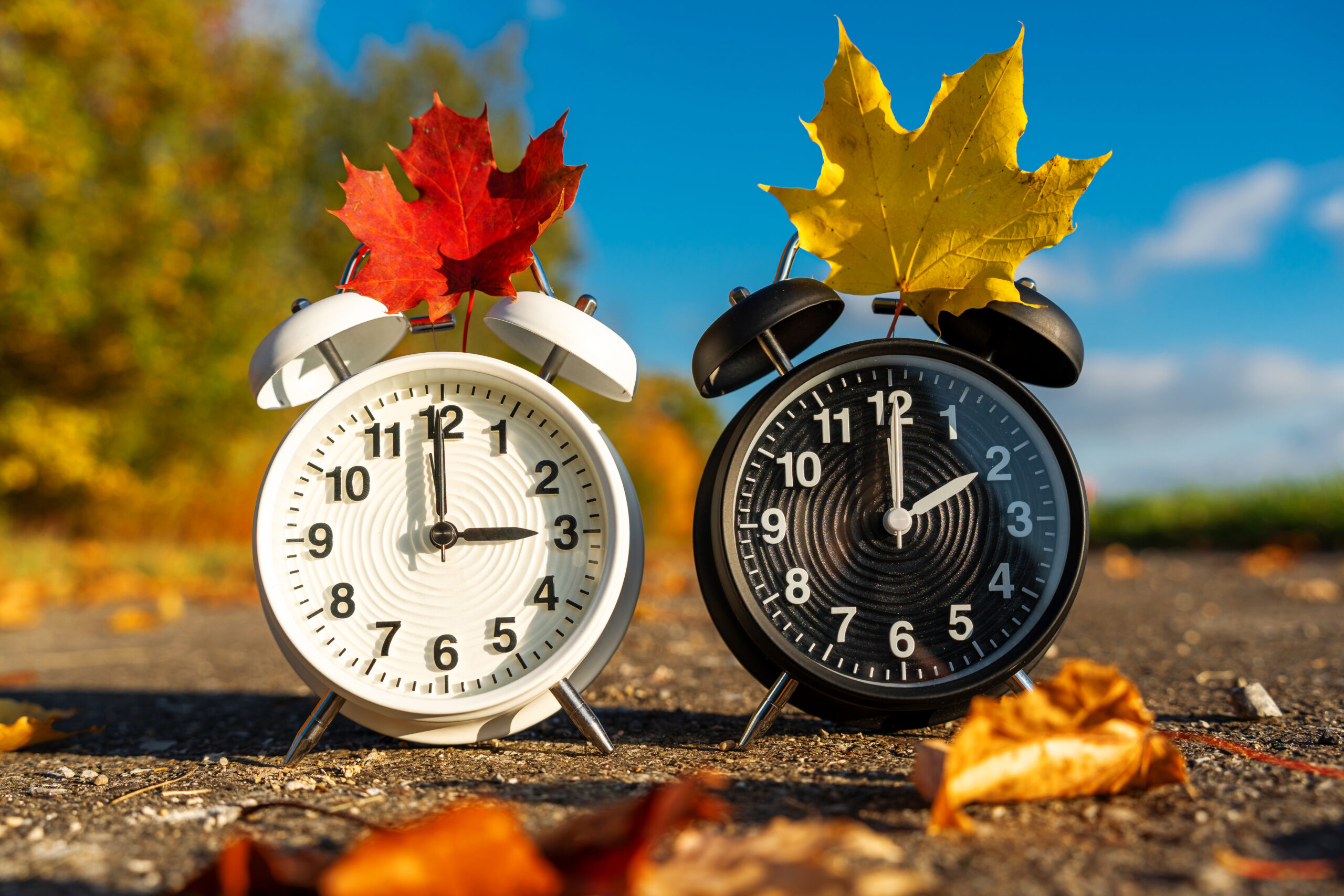 WINTERZEIT BILDER sommerzeit winterzeit zeitumstellung 1 scaled