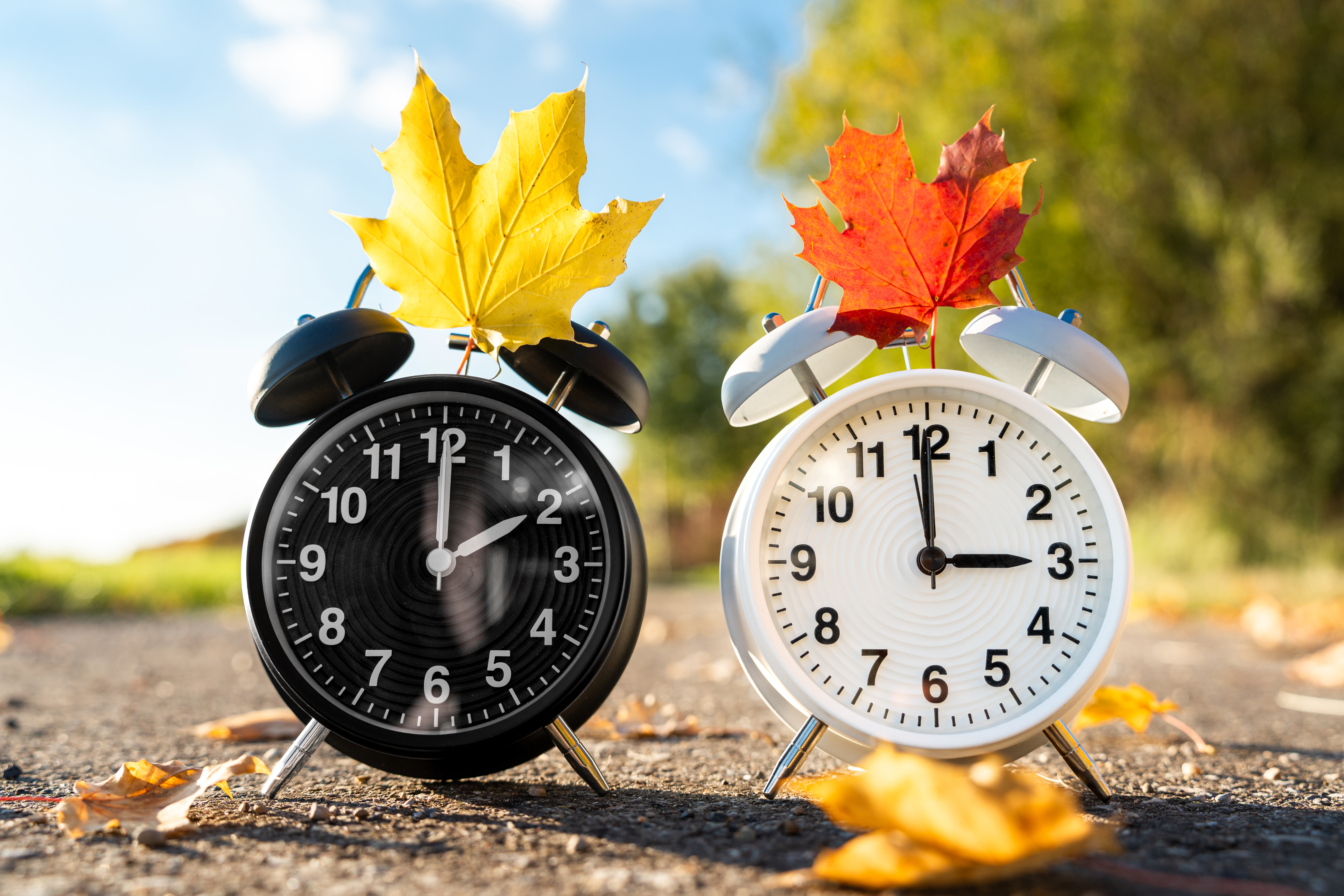UMSTELLUNG DER UHREN 1 BILDER bavaria, germany - 14 october 2025: two alarm clocks with autumn leaves symbolize the time change in autumn. when changing to winter time, the clocks are set back one hour *** zwei wecker mit herbstblättern symbolisieren die zeitumstellung im herbst. beim wechsel auf die winterzeit werden die uhren eine stunde zurückgestellt