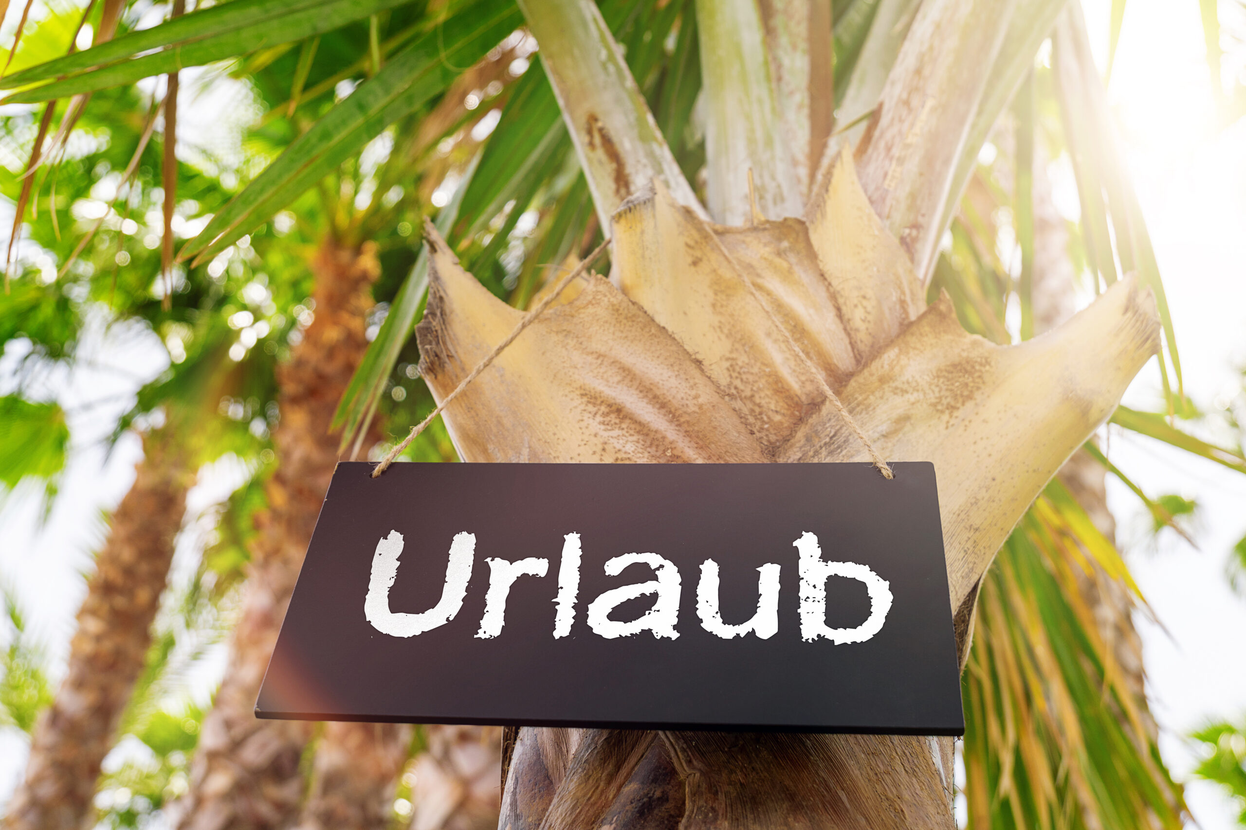 urlaub schild an palme scaled