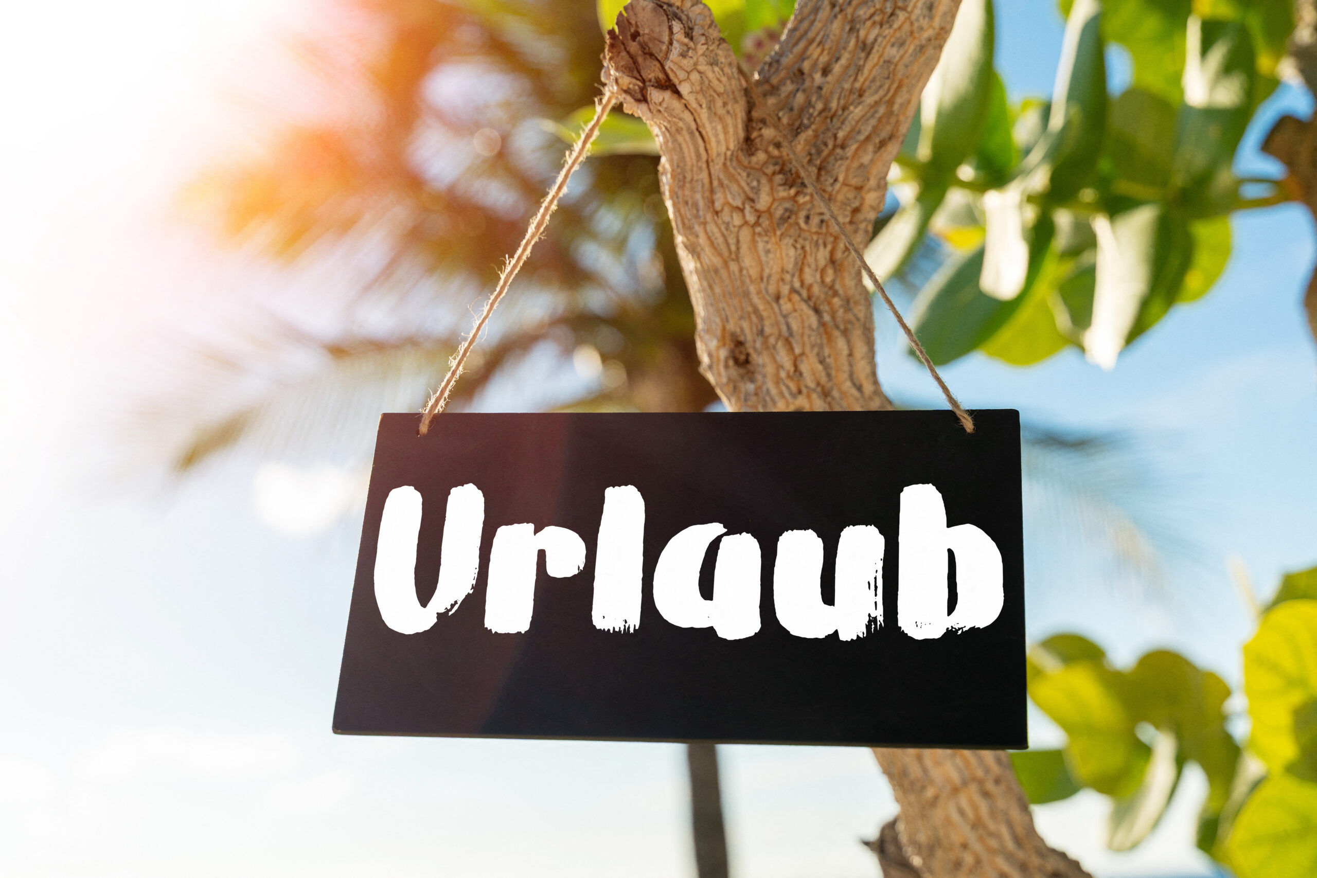 urlaub bilder schild an palme scaled