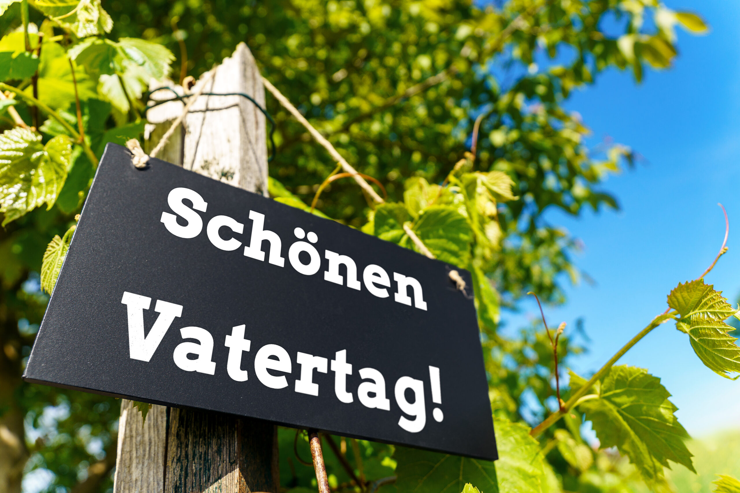 VATERTAG BILDER vatertagsgruesse schoenen vatertag scaled