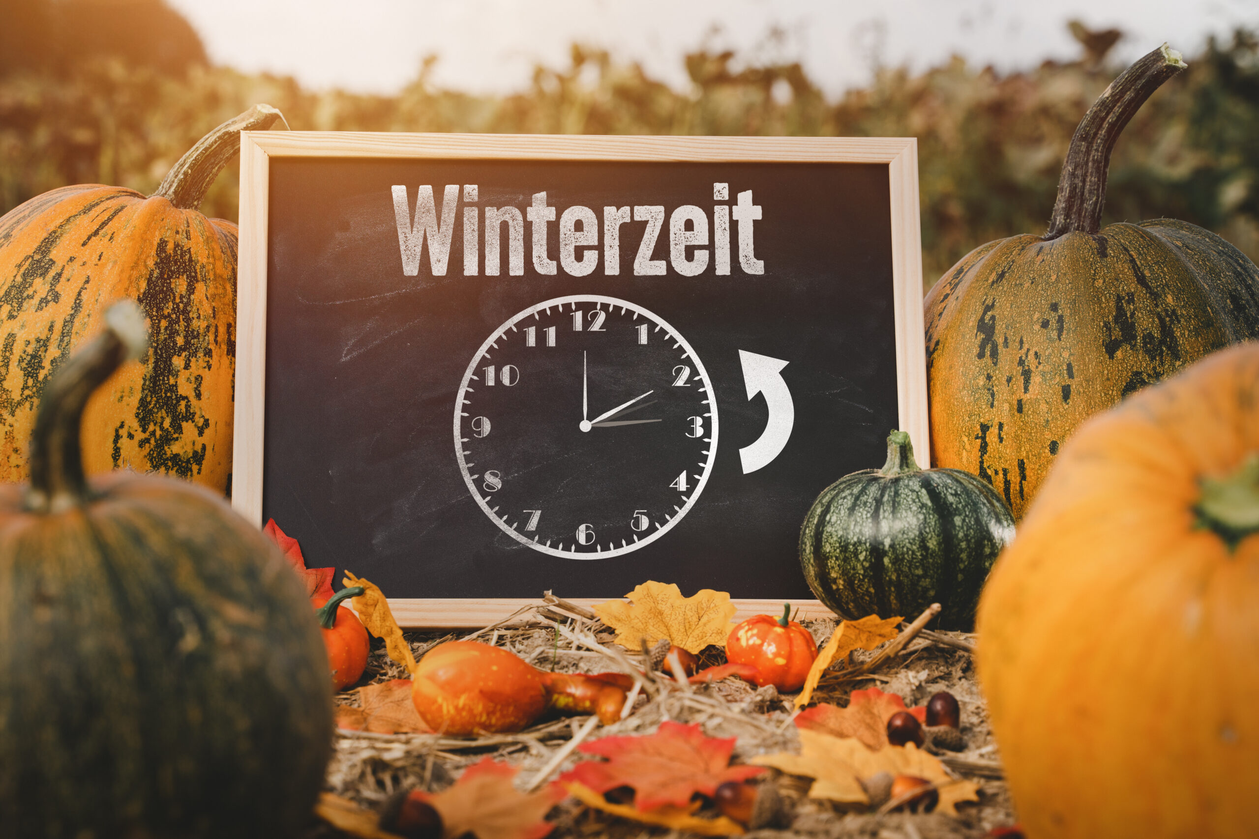 winterzeit 8 1 scaled