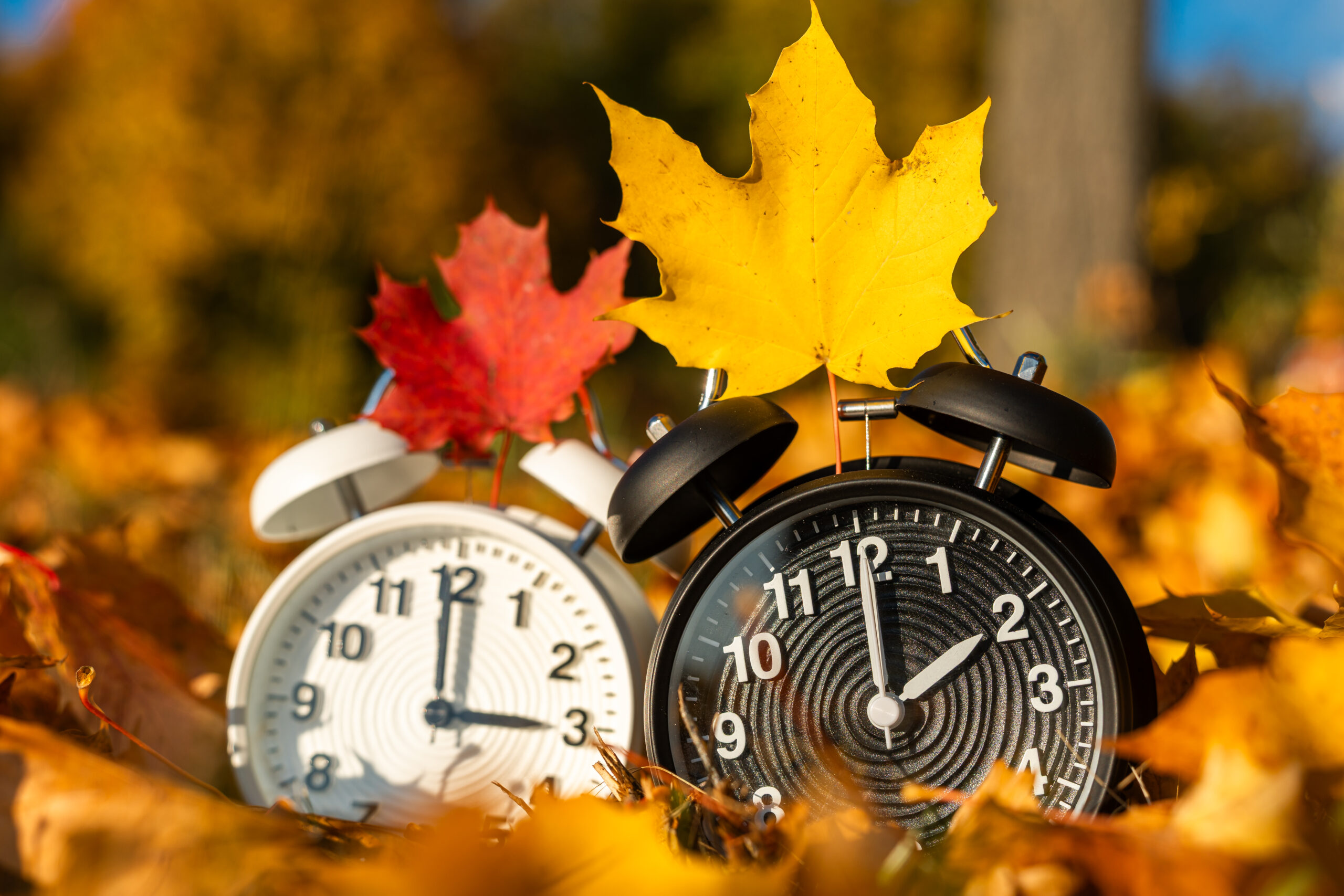 WINTERZEIT BILDER zeitumstellung oktober 1 scaled