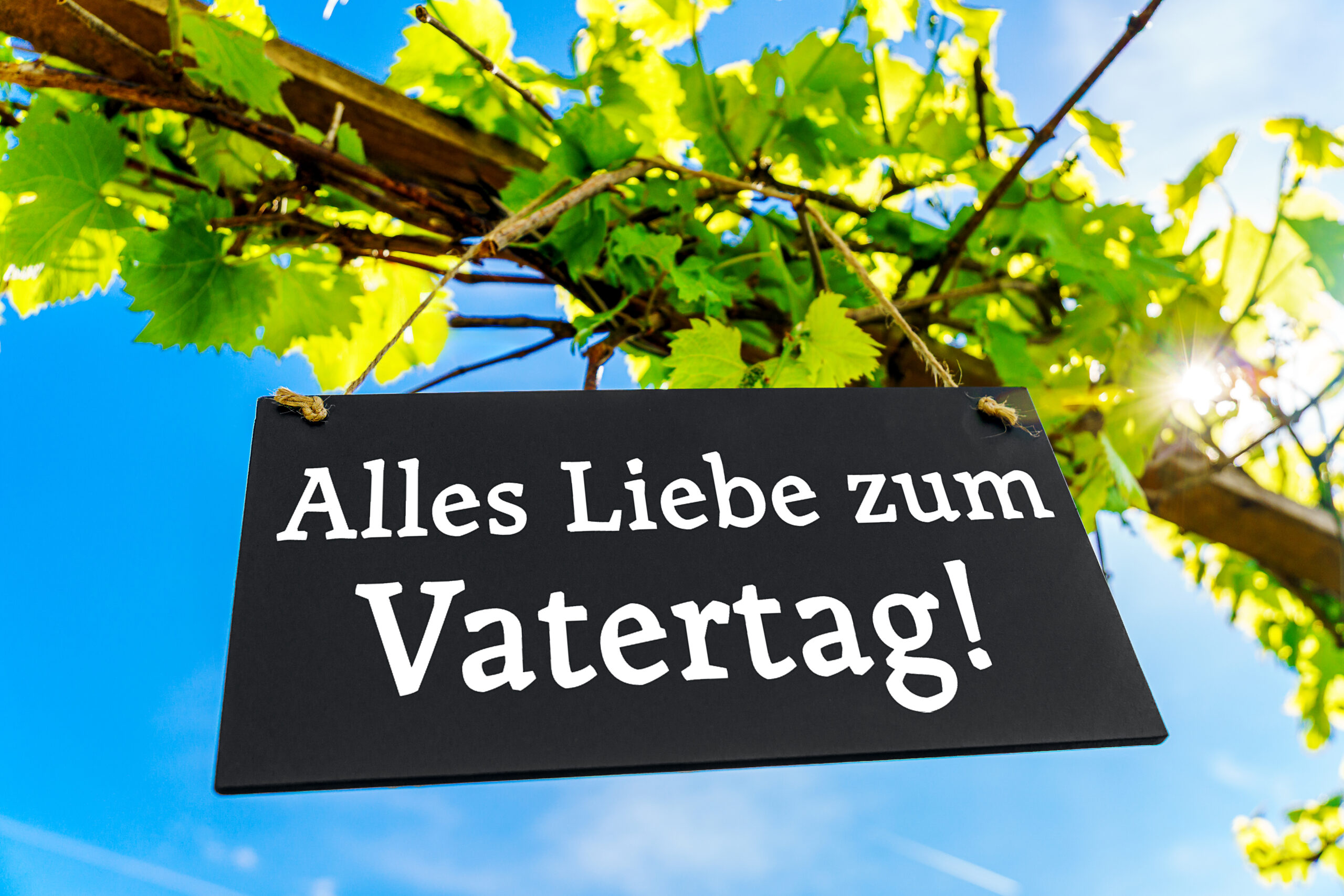 VATERTAG BILDER alles liebe zum vatertag gruss 1 scaled