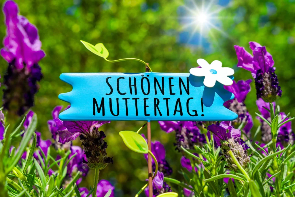 Schönen Muttertag Muttertagsgruß auf blauem Schild zwischen violetten Blumen und grünen Pflanzen im Sonnenlicht.