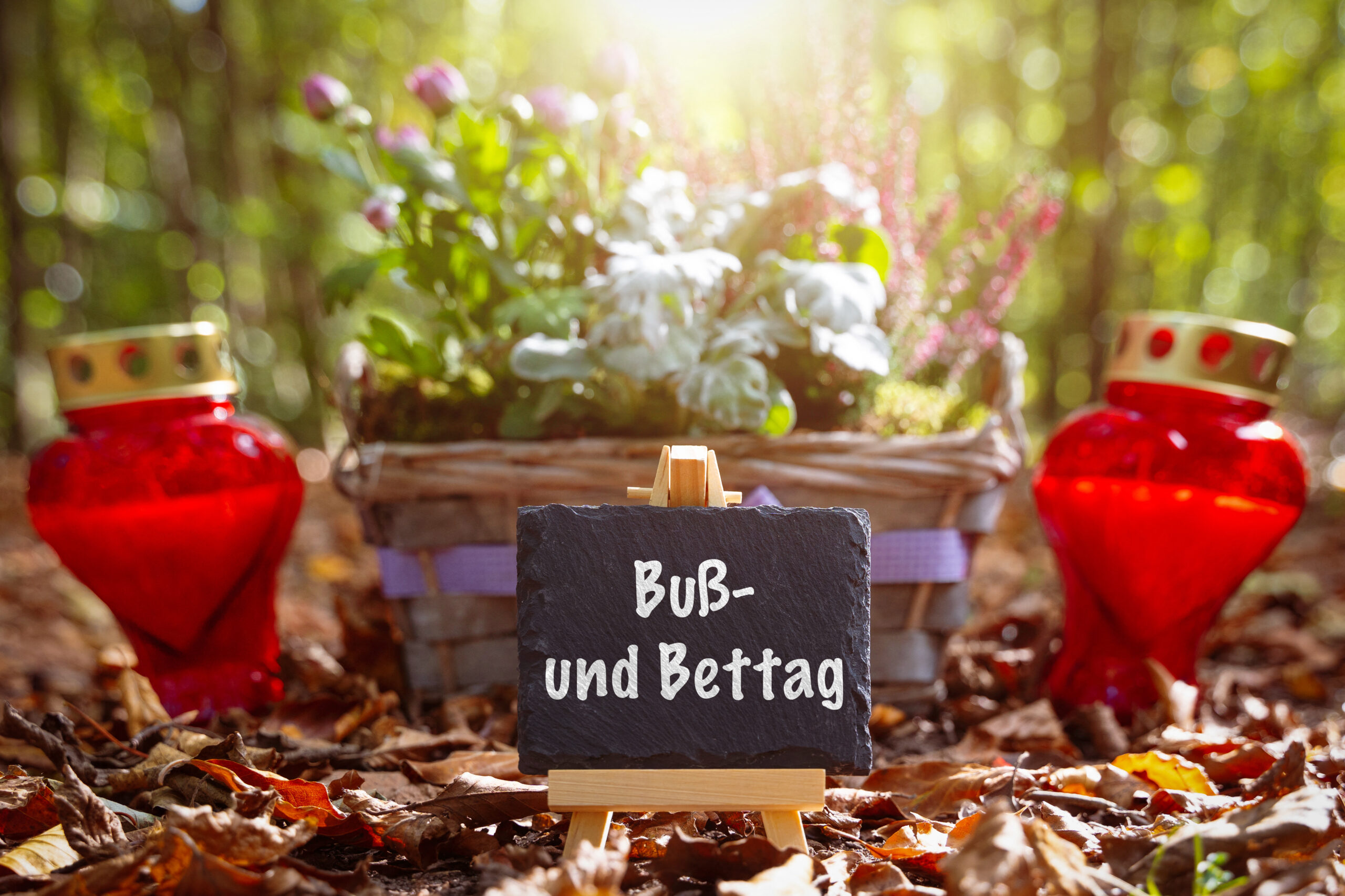BUSS- UND BETTAG BILDER BUSS- UND BETTAG BILD MIT BLUMEN, ROTEM LICHT UND HERBSTLICHER STIMMUNG buß- und bettag bild mit blumen, rotem licht und herbstlicher stimmung