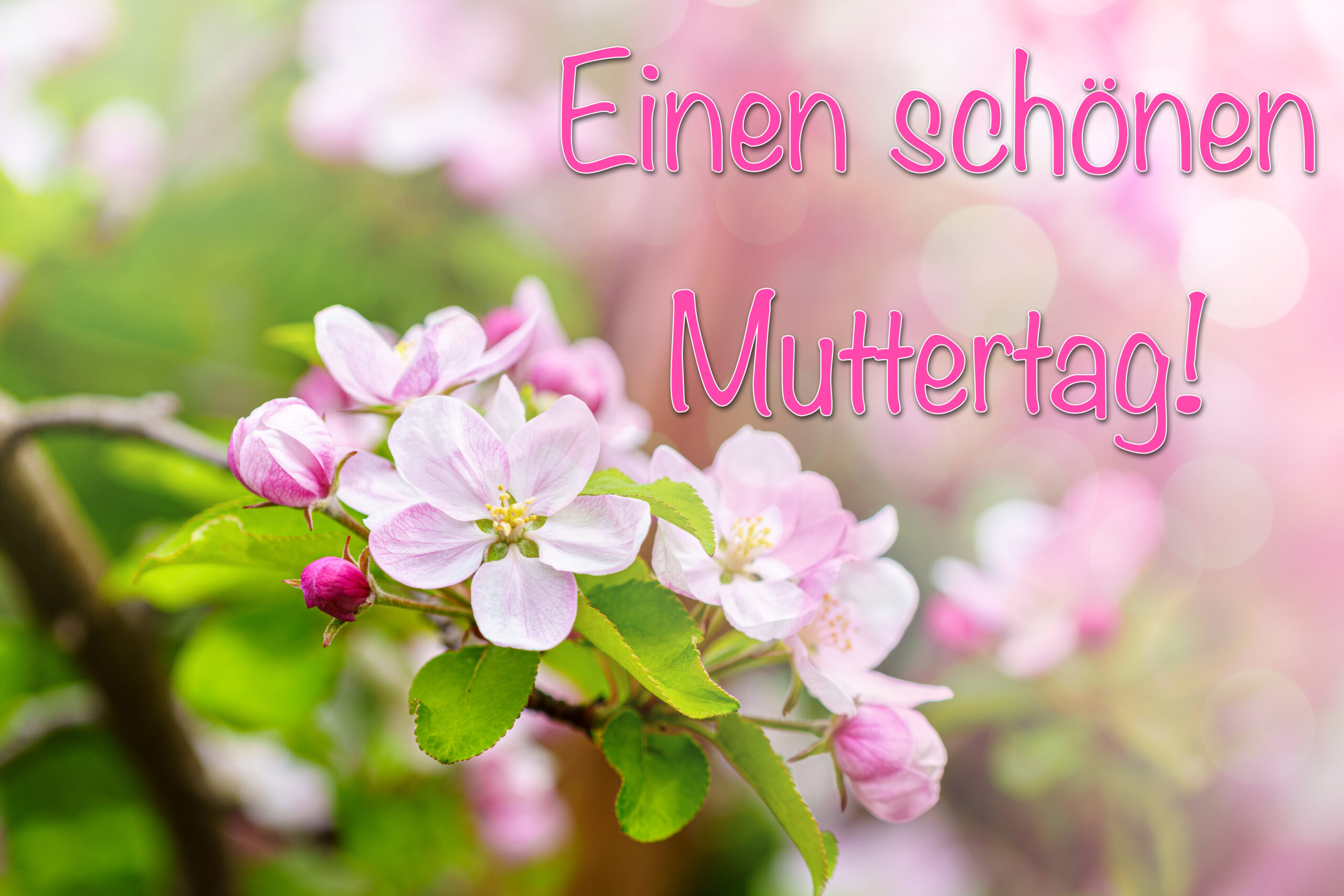einen schoenen muttertag scaled
