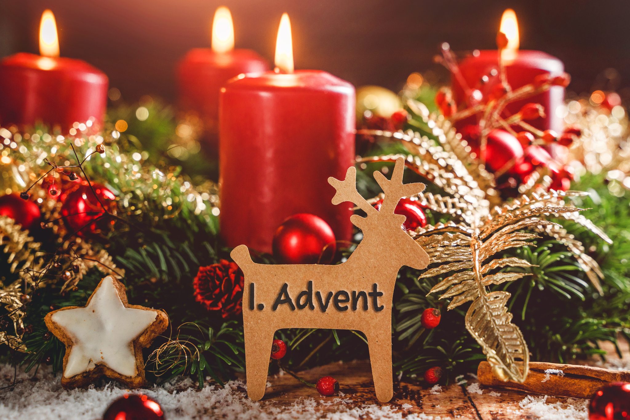 ADVENT 2025 - ADVENTSGRÜSSE WÜNSCHE UND BILDER ZUR ADVENTSZEIT ADVENTSKRANZ MIT EINER BRENNENDEN KERZE UND ELCHFIGUR FÜR DEN 1. ADVENT adventskranz mit einer brennenden kerze und elchfigur für den 1. advent