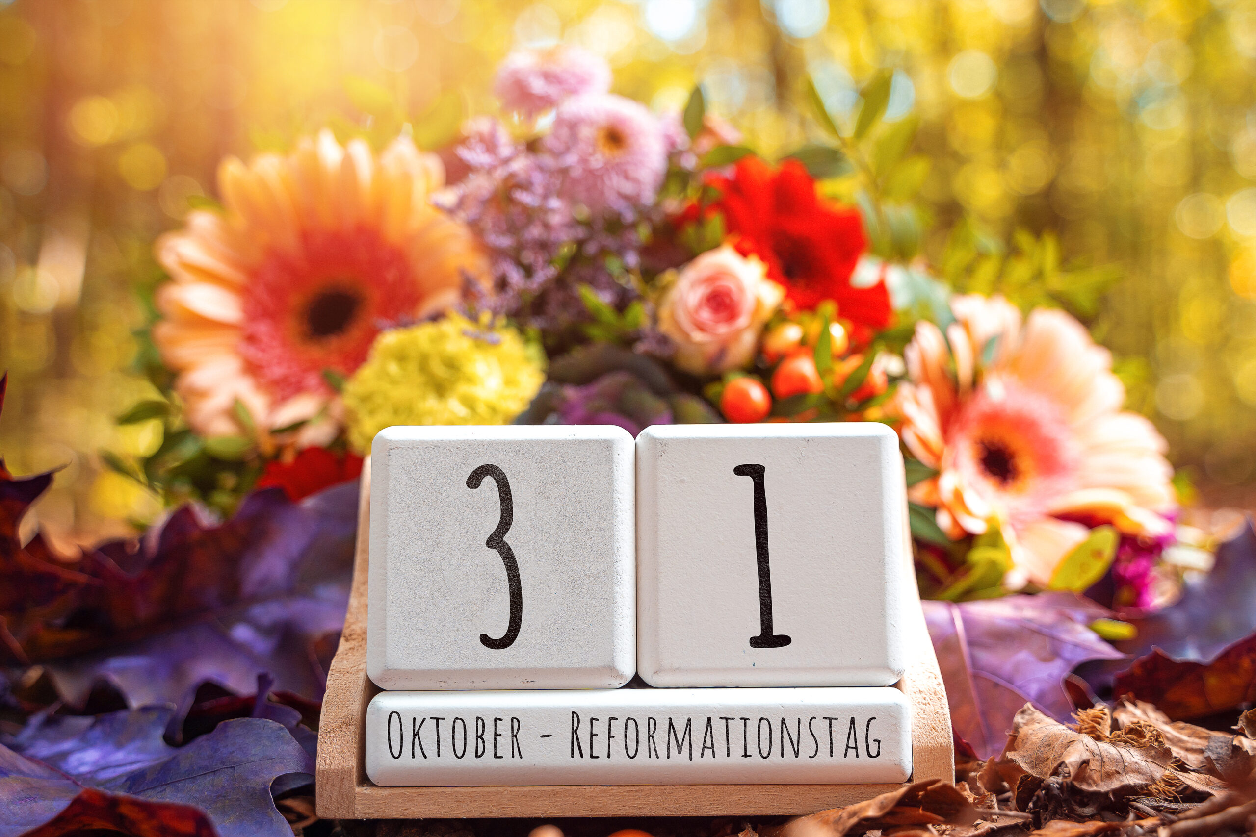kalenderblöcke mit dem datum 31. oktober reformationstag, umgeben von bunten blumen und herbstlaub im warmen sonnenlicht.