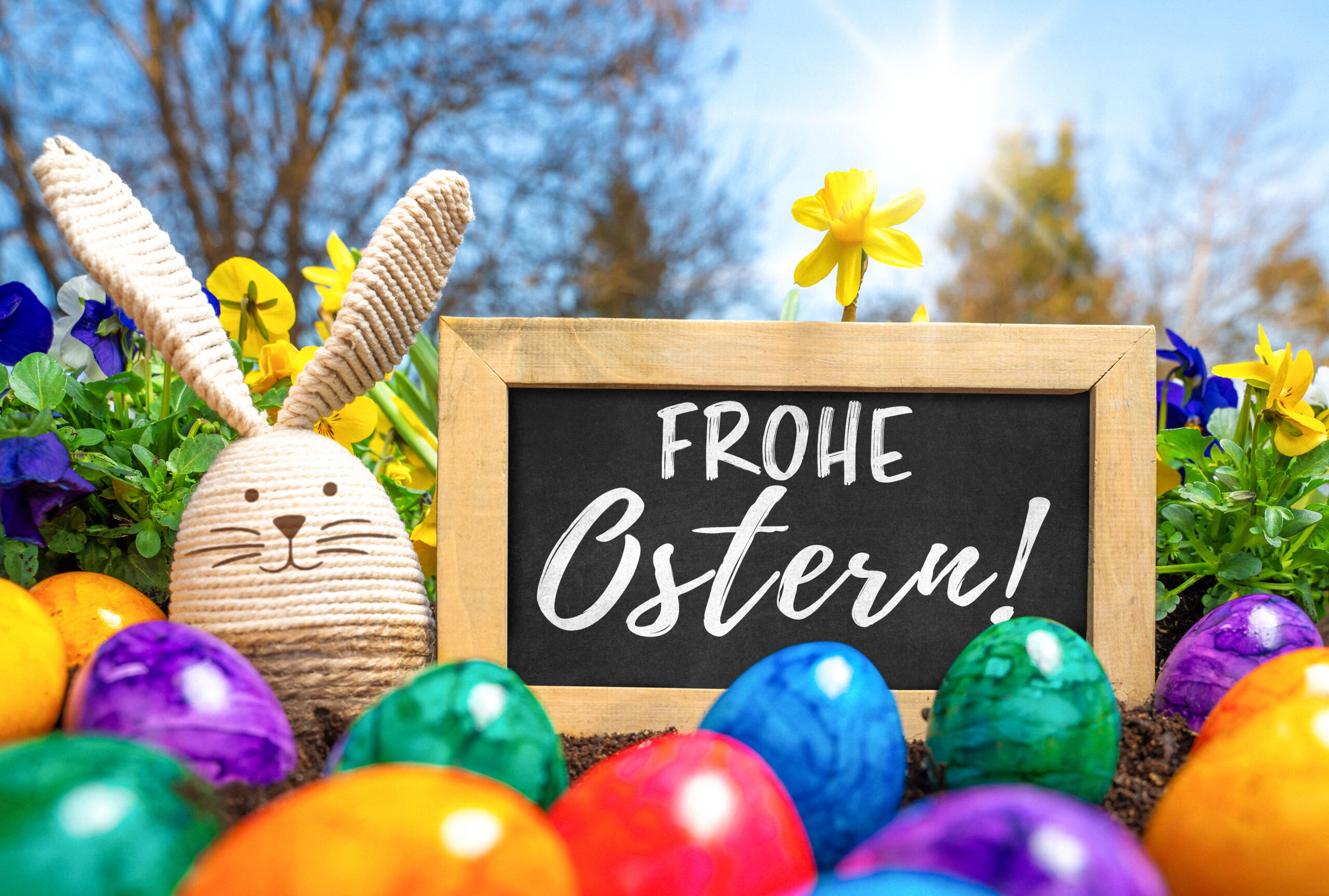 frohe ostern bild mit osterhase und bunten ostereiern im frühling