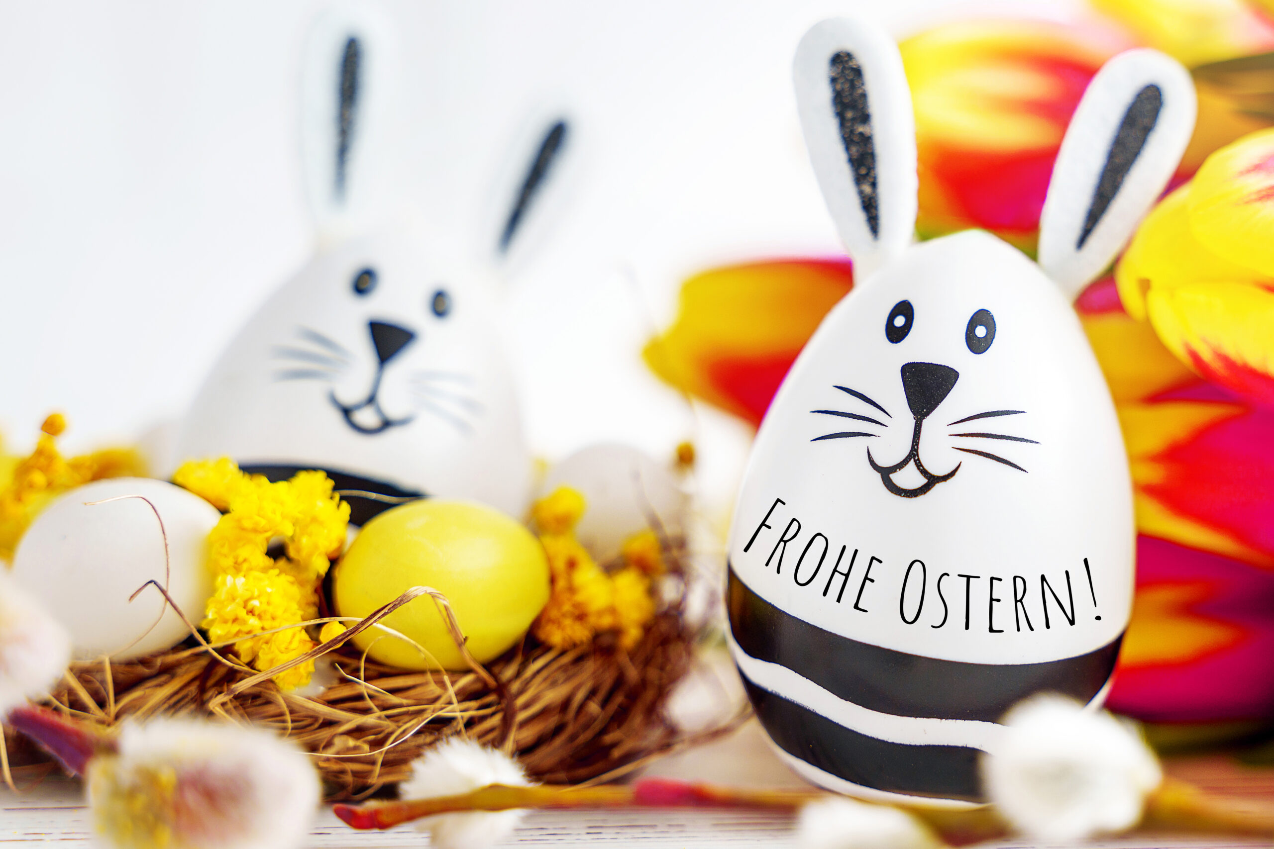 frohe ostern hase 1 scaled