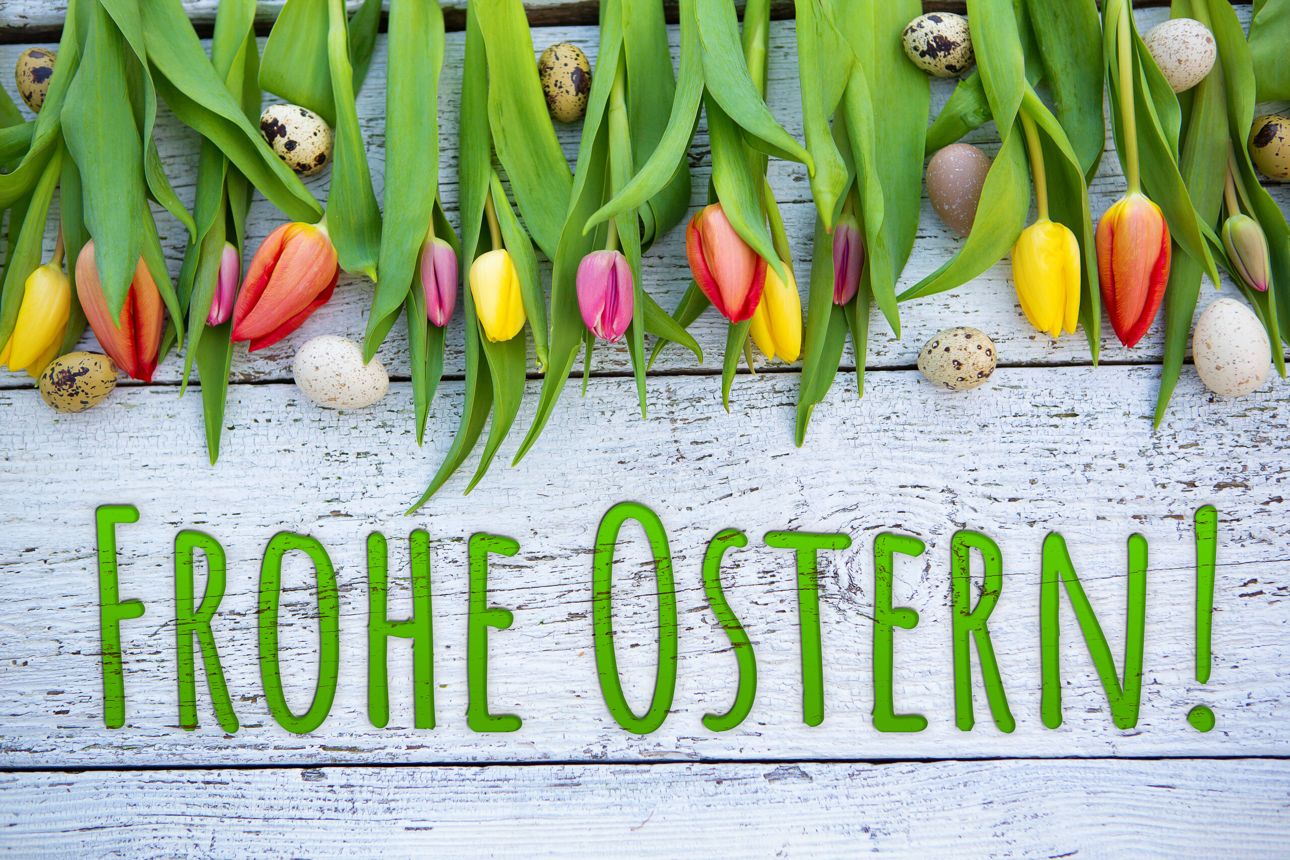 frohe ostern schriftzug 3 scaled