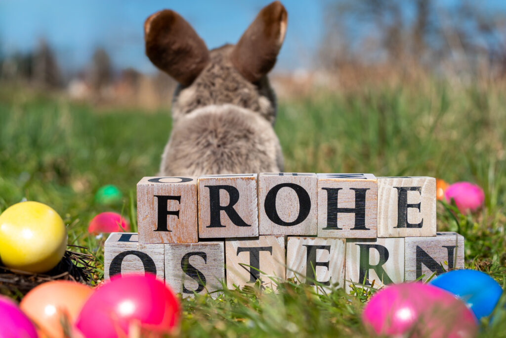 Frohe Ostern Wünsche mit Hase • Bihlmayer-MEDIA Frohe Ostern Wünsche mit Hase • Bihlmayer-MEDIA