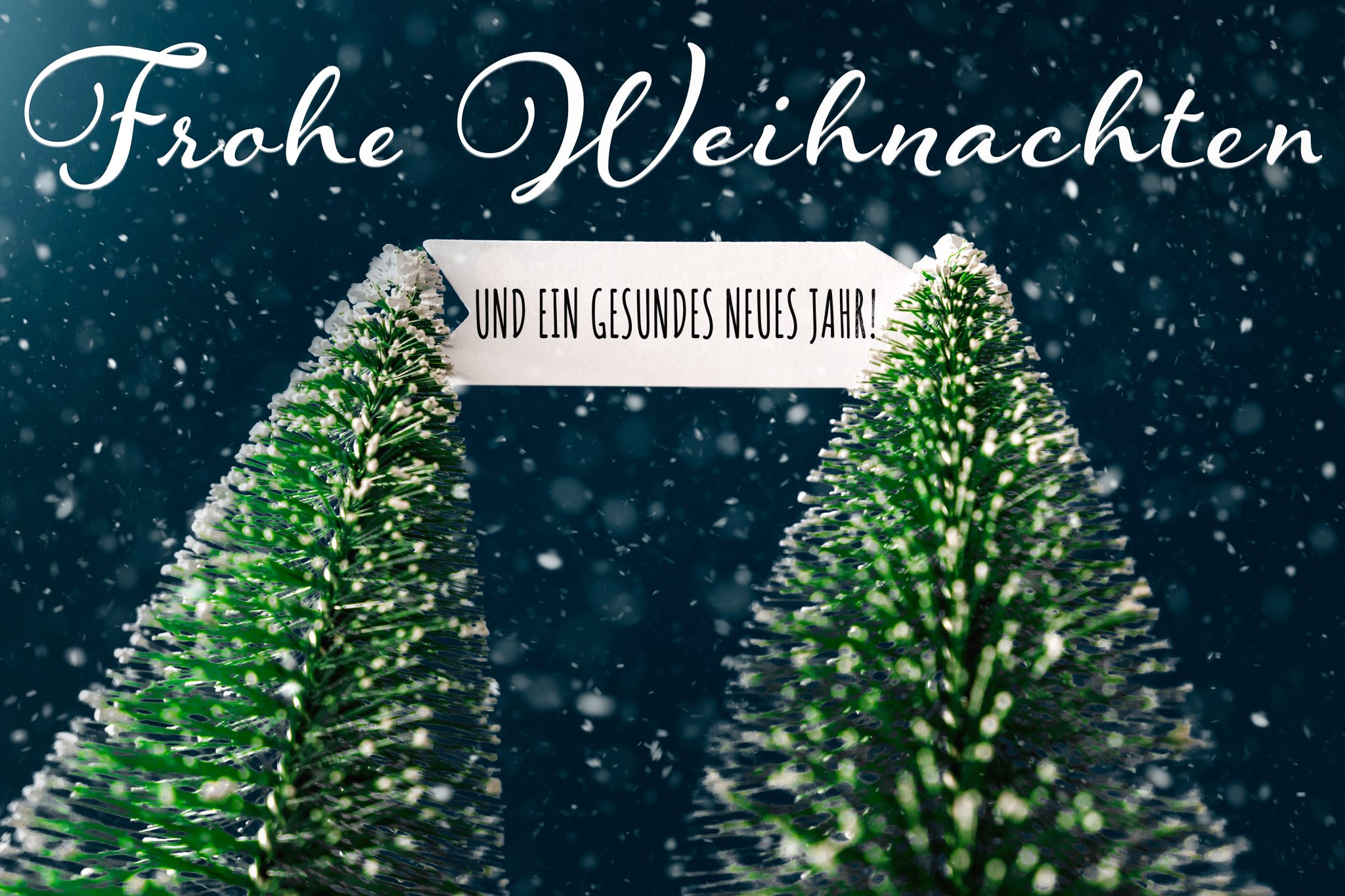 FROHE WEIHNACHTEN! BILDER UND GRÜSSE FROHE WEIHNACHTEN UND EIN GESUNDES NEUES JAHR frohe weihnachten und ein gesundes neues jahr