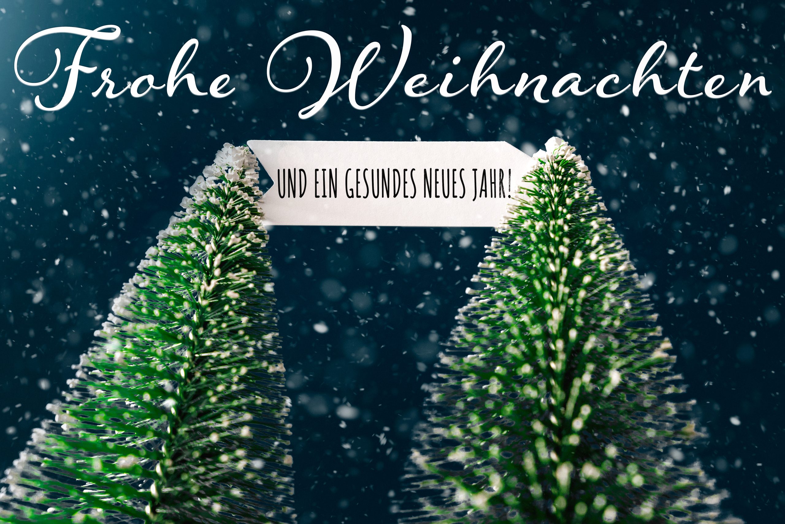 frohe weihnachten und ein gesundes neues jahr