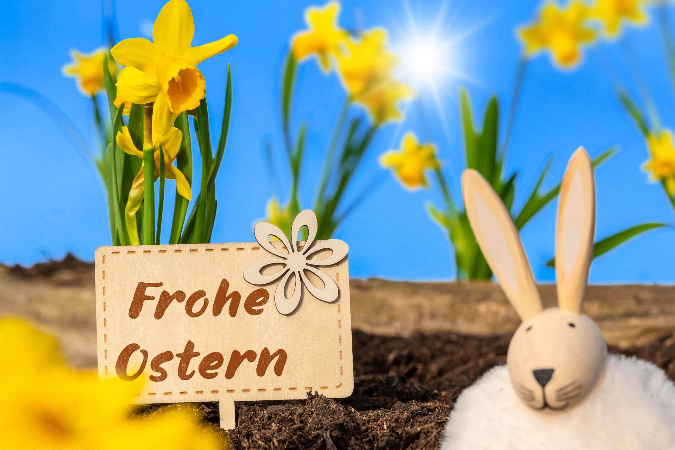 frohe ostern 2 scaled bilder