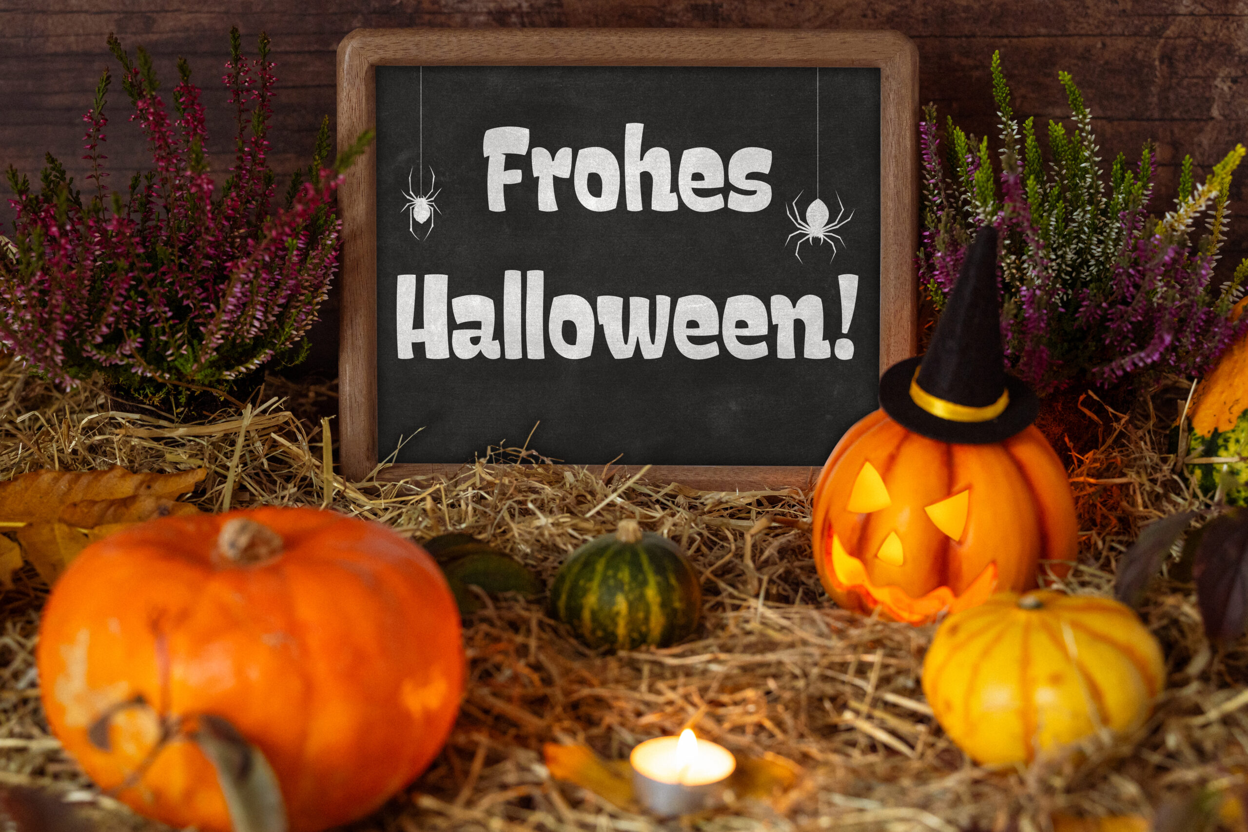 HALLOWEEN BILDER frohes halloween scaled