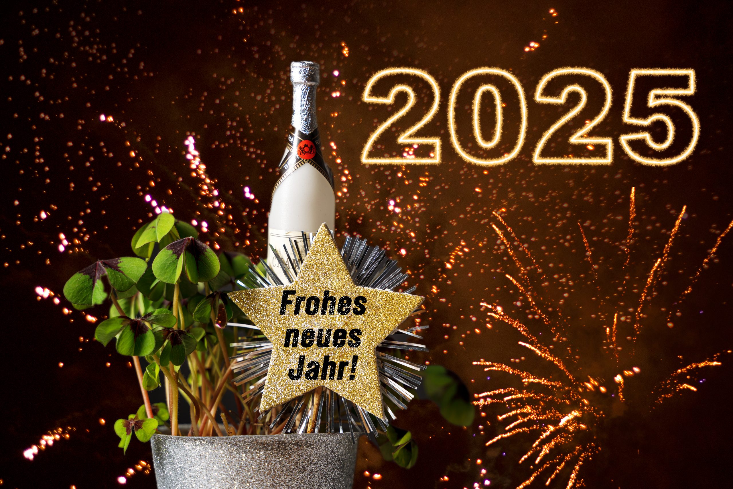 Frohes Neues Jahr 2025 Beste Neujahrsgrüße • BihlmayerMEDIA