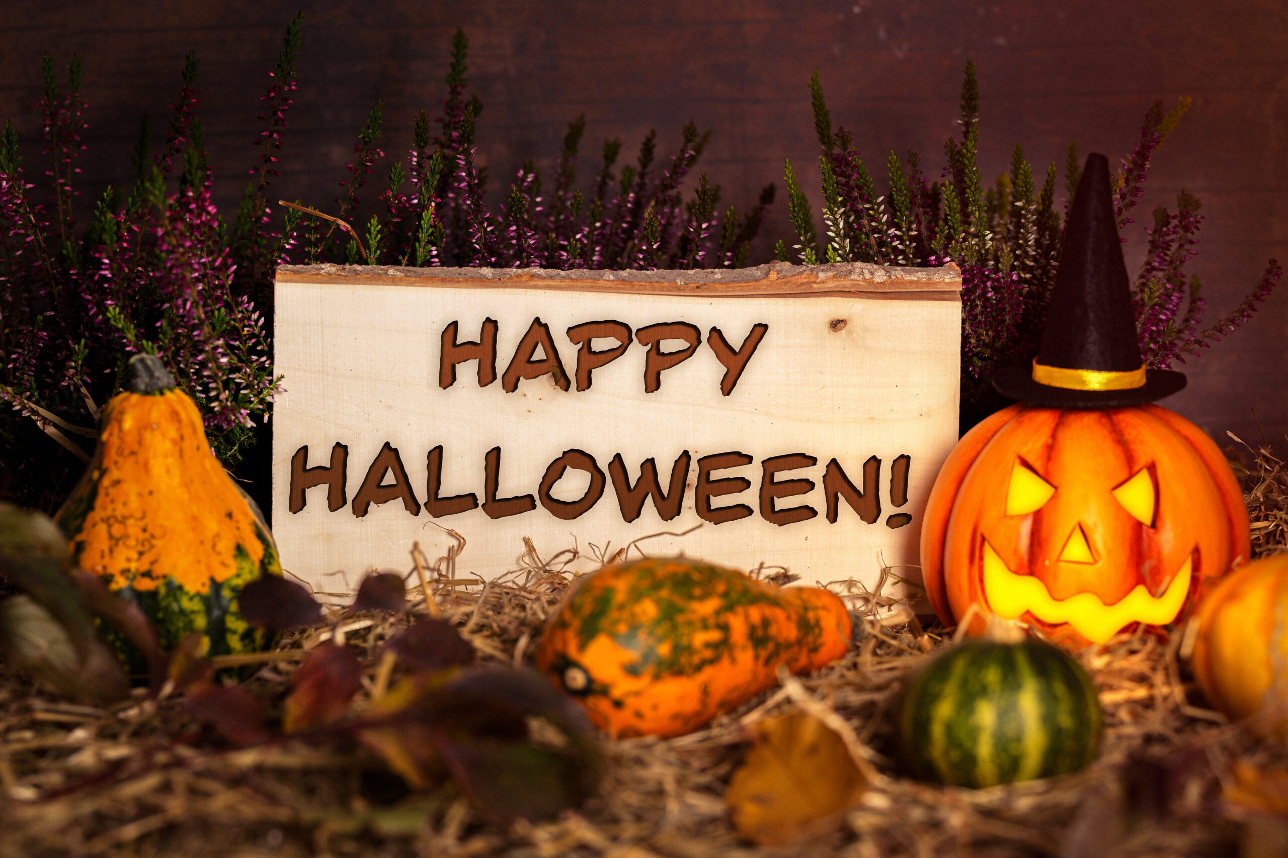 HALLOWEEN BILDER happy halloween 5 scaled