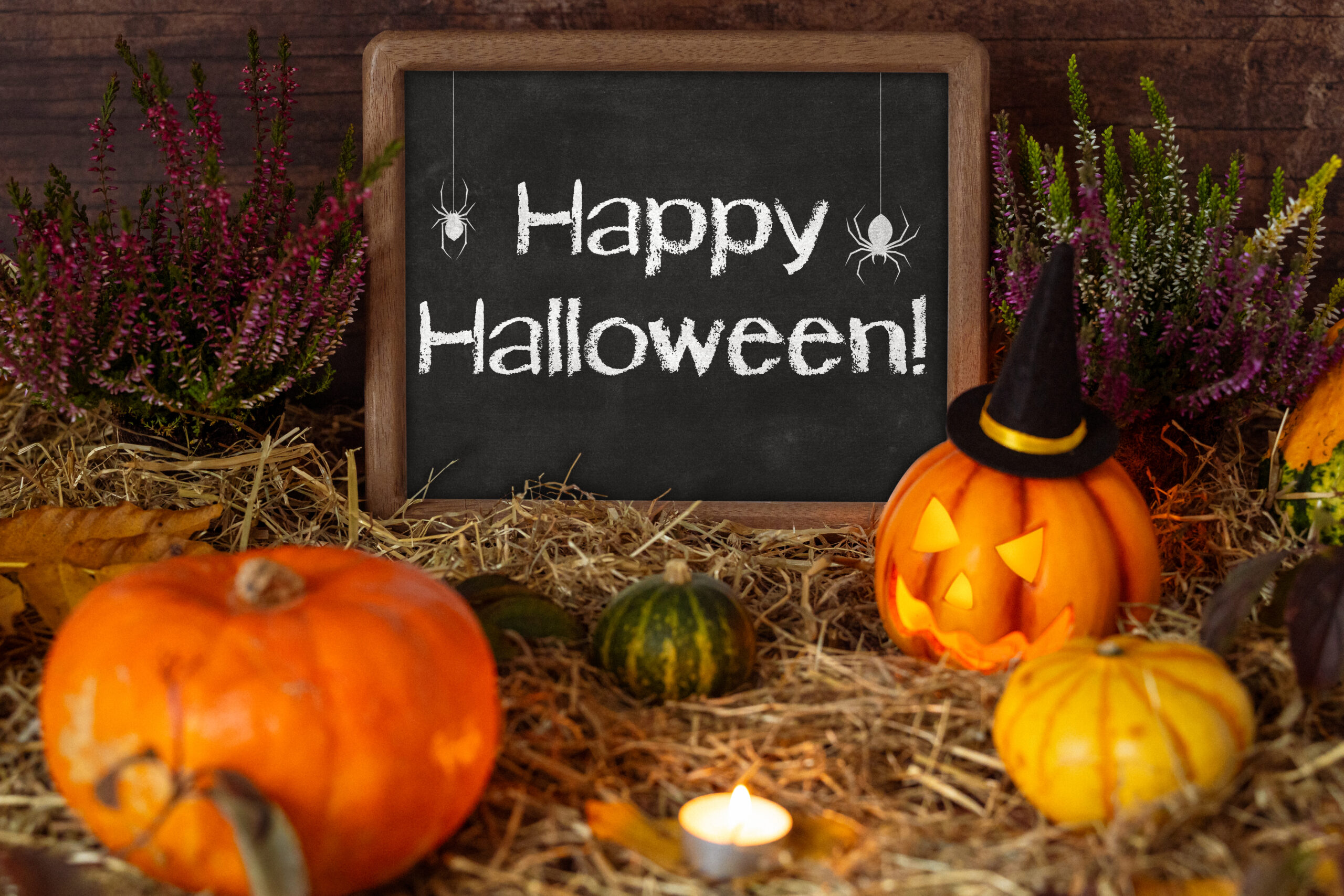 HALLOWEEN BILDER happy halloween gruss scaled